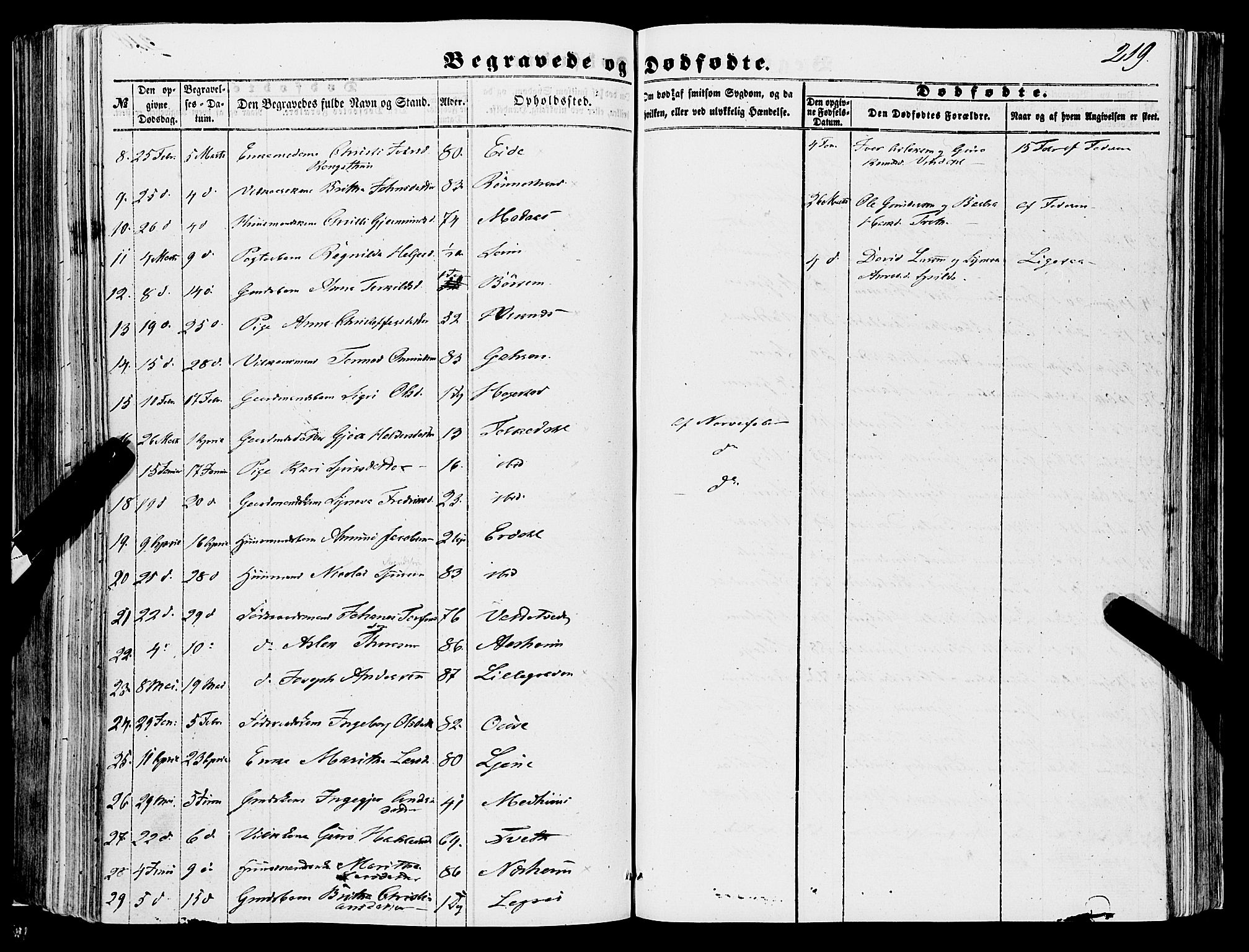 Ulvik sokneprestembete, AV/SAB-A-78801/H/Haa: Ministerialbok nr. A 13, 1853-1863, s. 219
