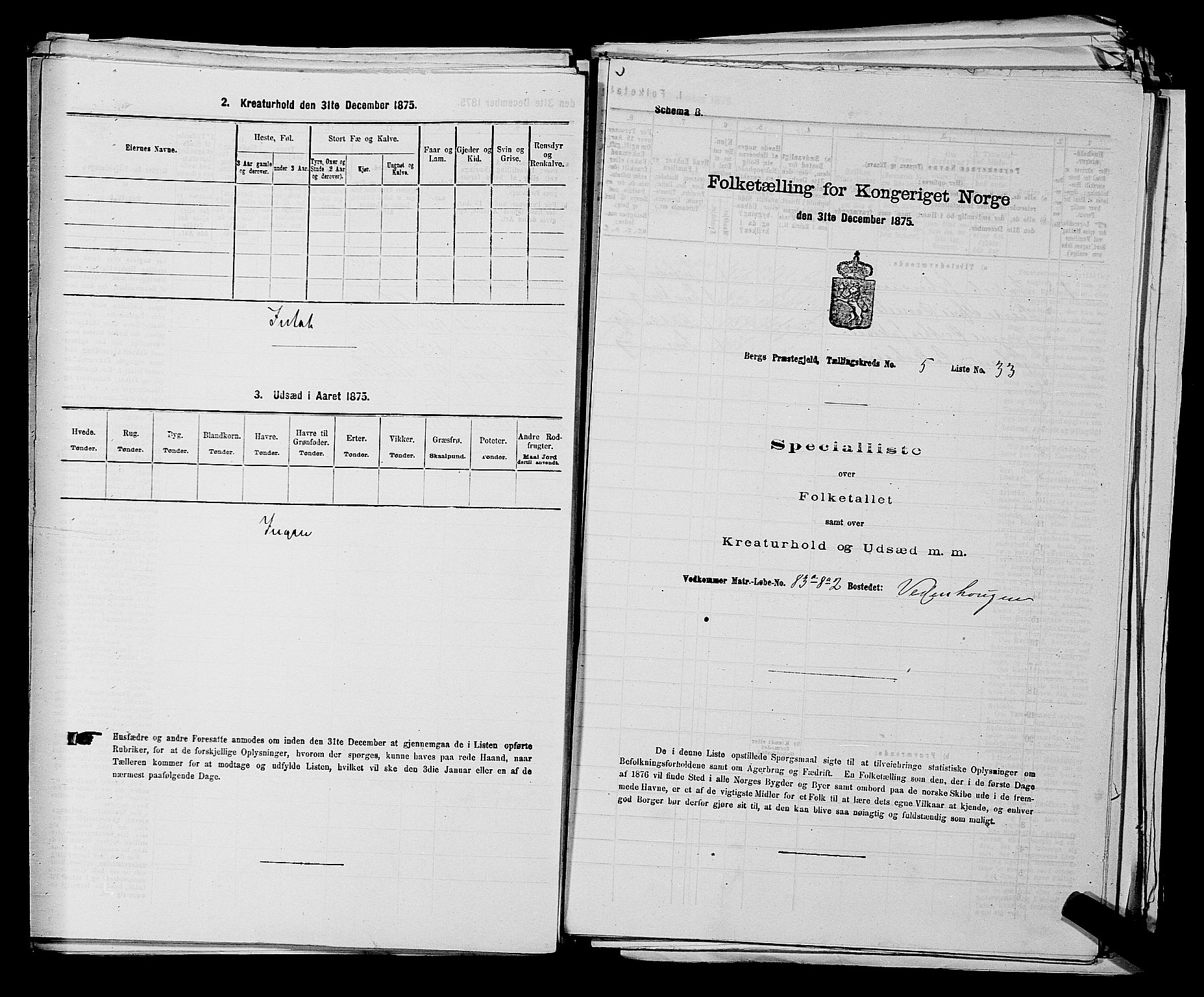 RA, Folketelling 1875 for 0116P Berg prestegjeld, 1875, s. 743