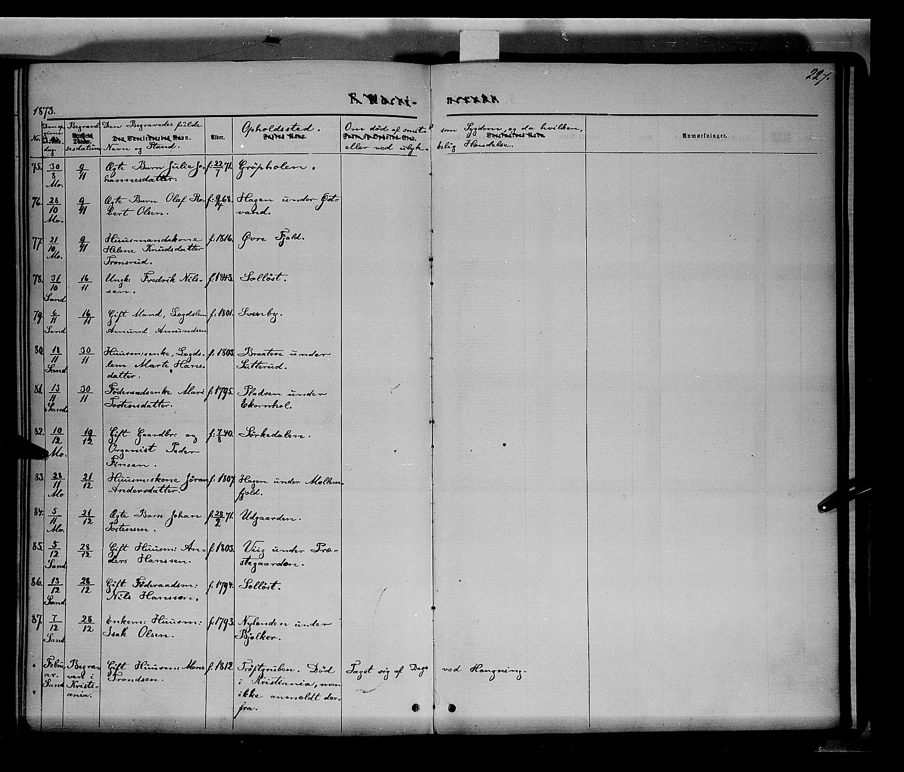 Nord-Odal prestekontor, SAH/PREST-032/H/Ha/Haa/L0004: Ministerialbok nr. 4, 1866-1873, s. 227