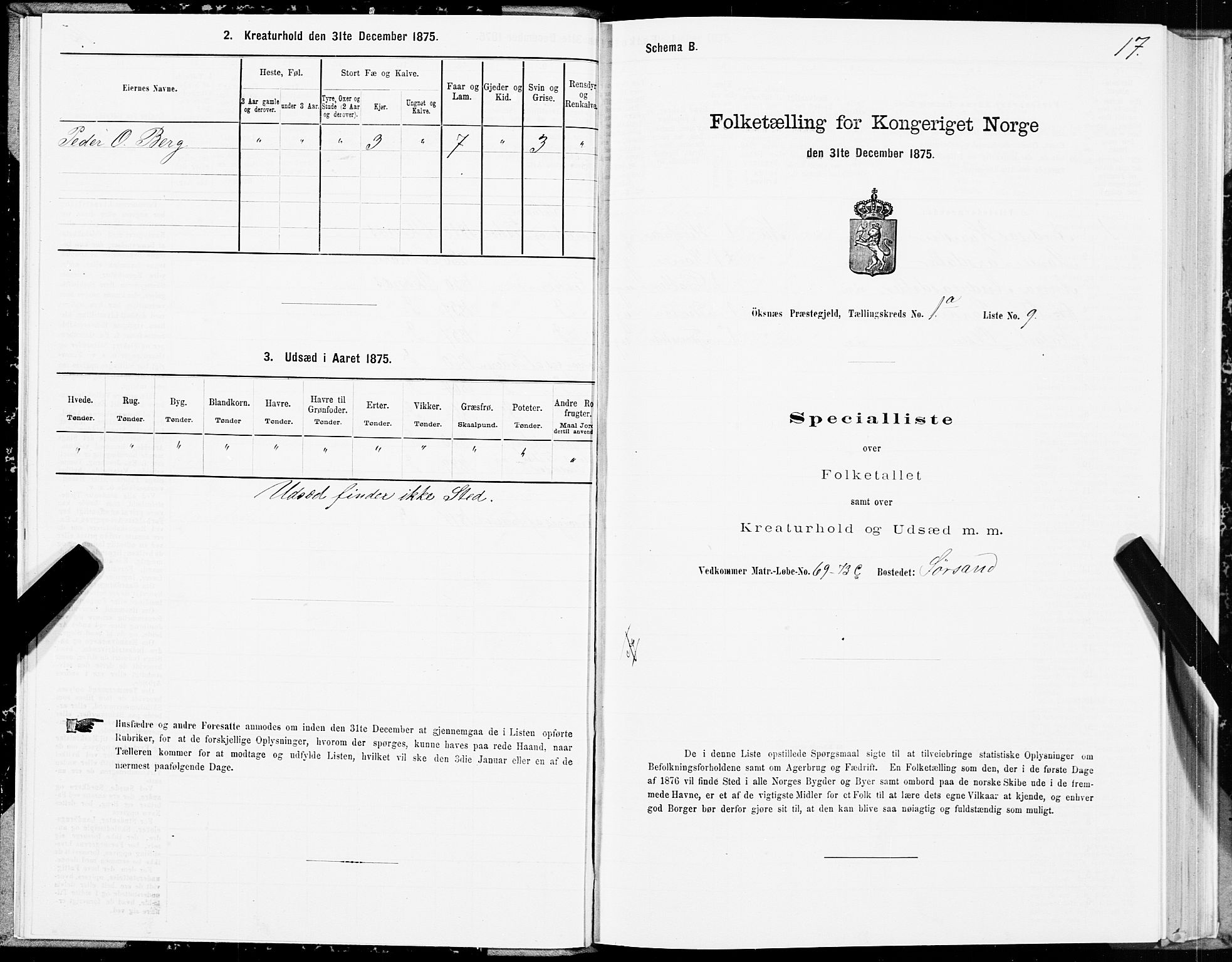 SAT, Folketelling 1875 for 1868P Øksnes prestegjeld, 1875, s. 1017