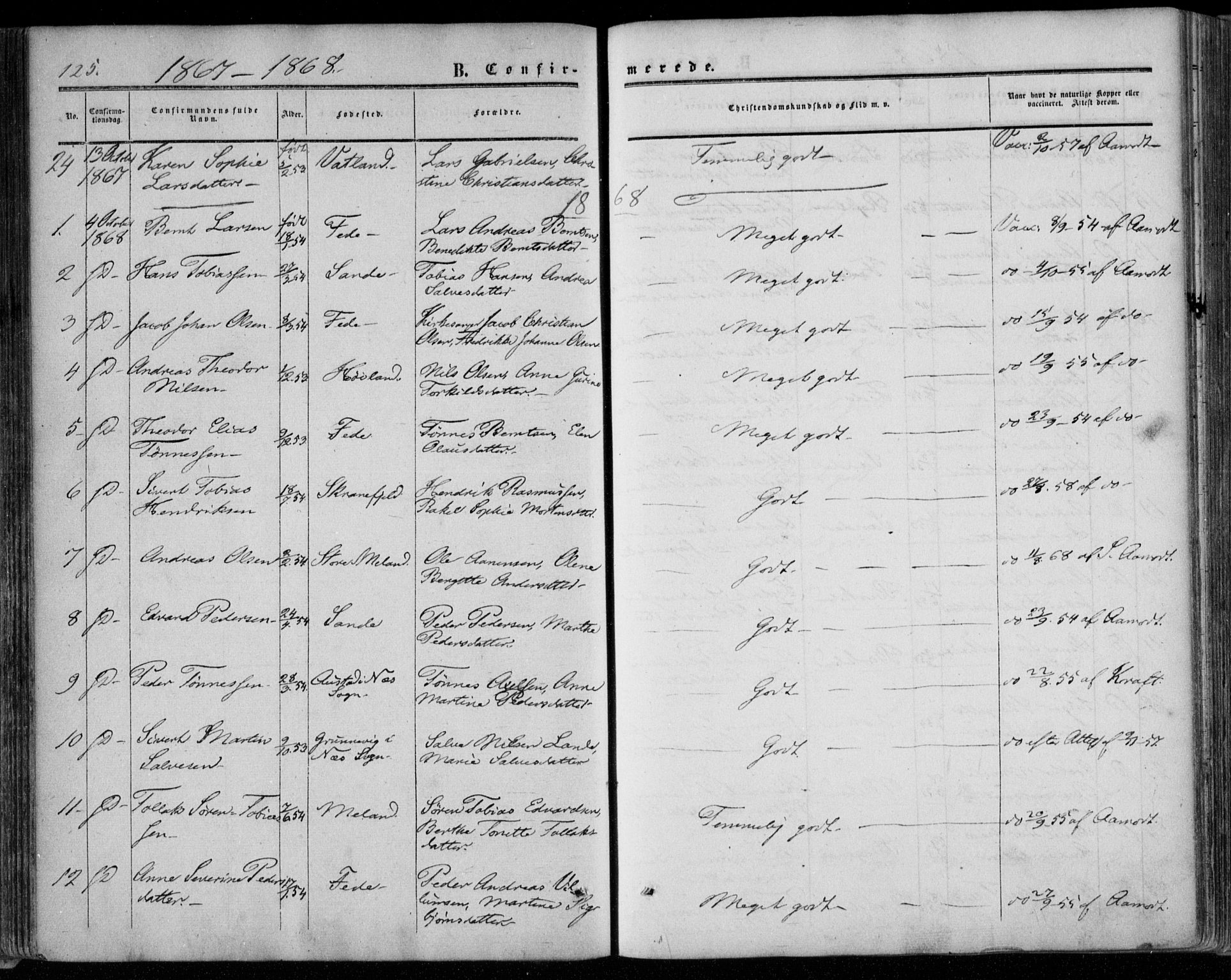 Kvinesdal sokneprestkontor, SAK/1111-0026/F/Fa/Faa/L0002: Ministerialbok nr. A 2, 1850-1876, s. 125