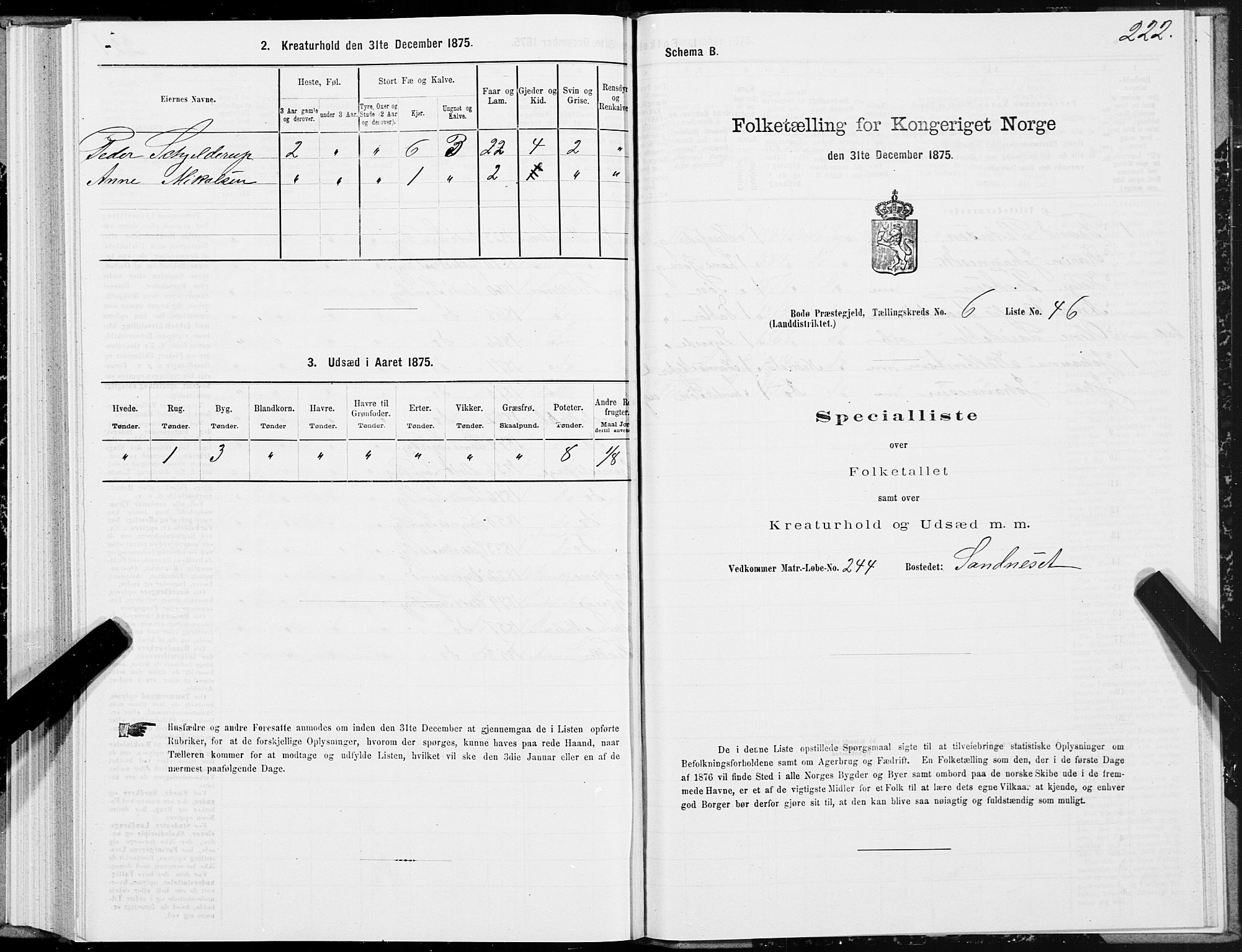 SAT, Folketelling 1875 for 1843L Bodø prestegjeld, Bodø landsokn, 1875, s. 3222