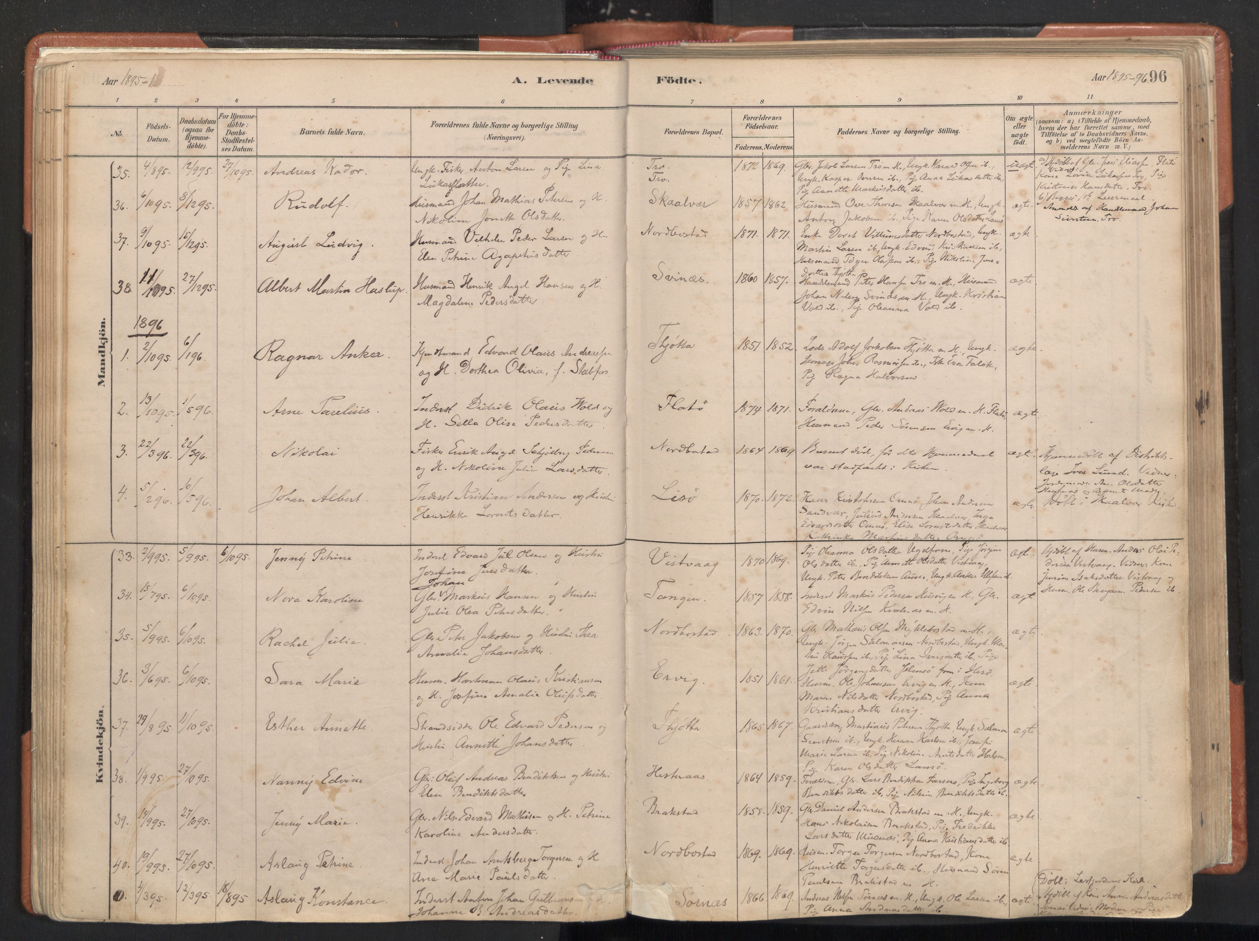 Ministerialprotokoller, klokkerbøker og fødselsregistre - Nordland, AV/SAT-A-1459/817/L0264: Ministerialbok nr. 817A04, 1878-1907, s. 96