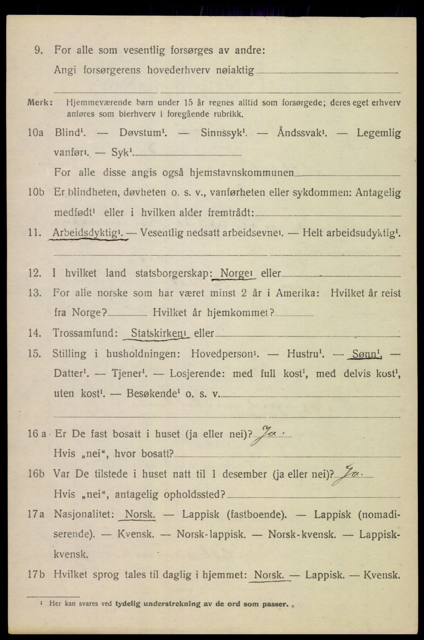 SAT, Folketelling 1920 for 1840 Saltdal herred, 1920, s. 1248