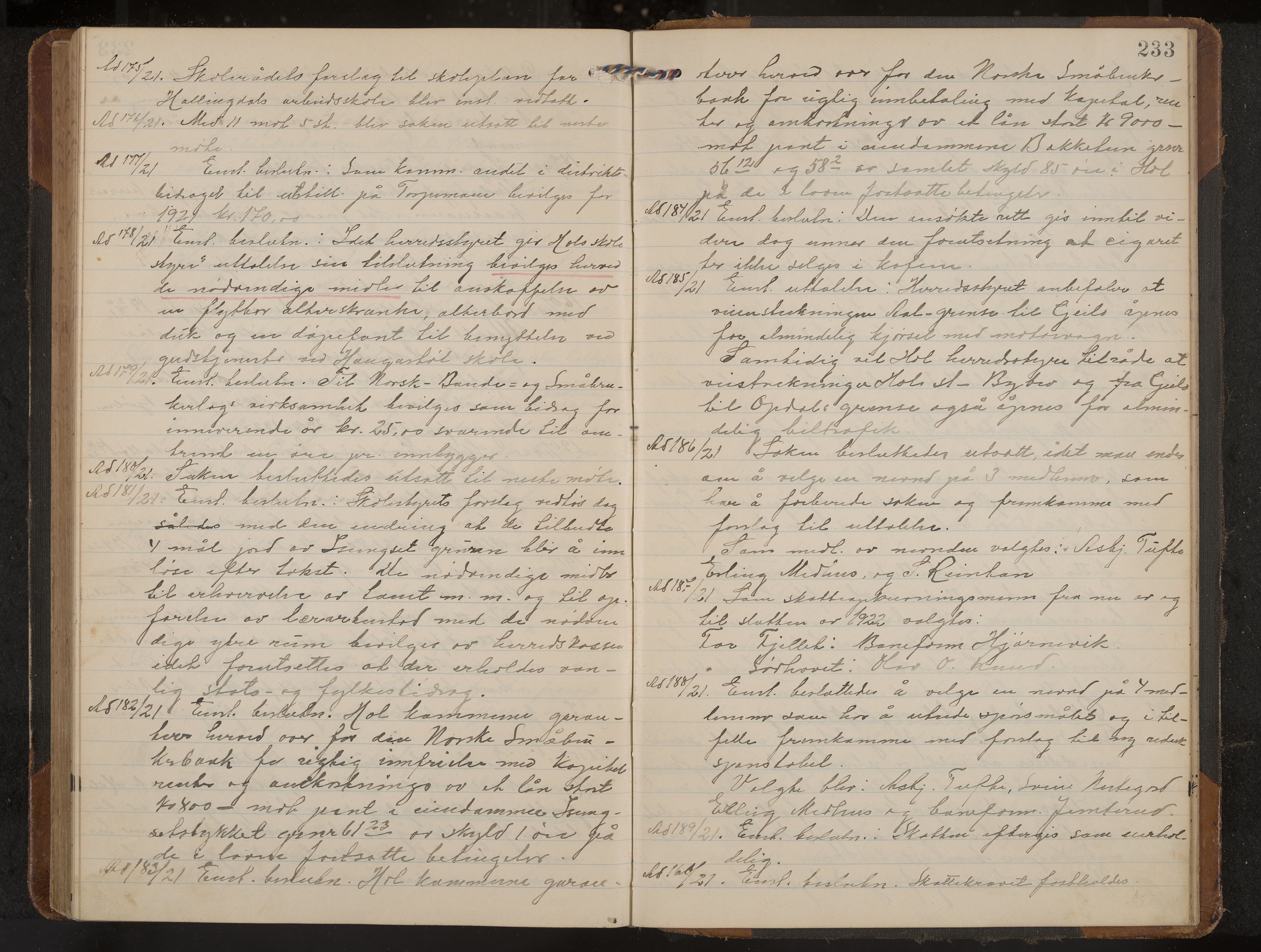 Hol formannskap og sentraladministrasjon, IKAK/0620021-1/A/L0006: Møtebok, 1916-1922, s. 233