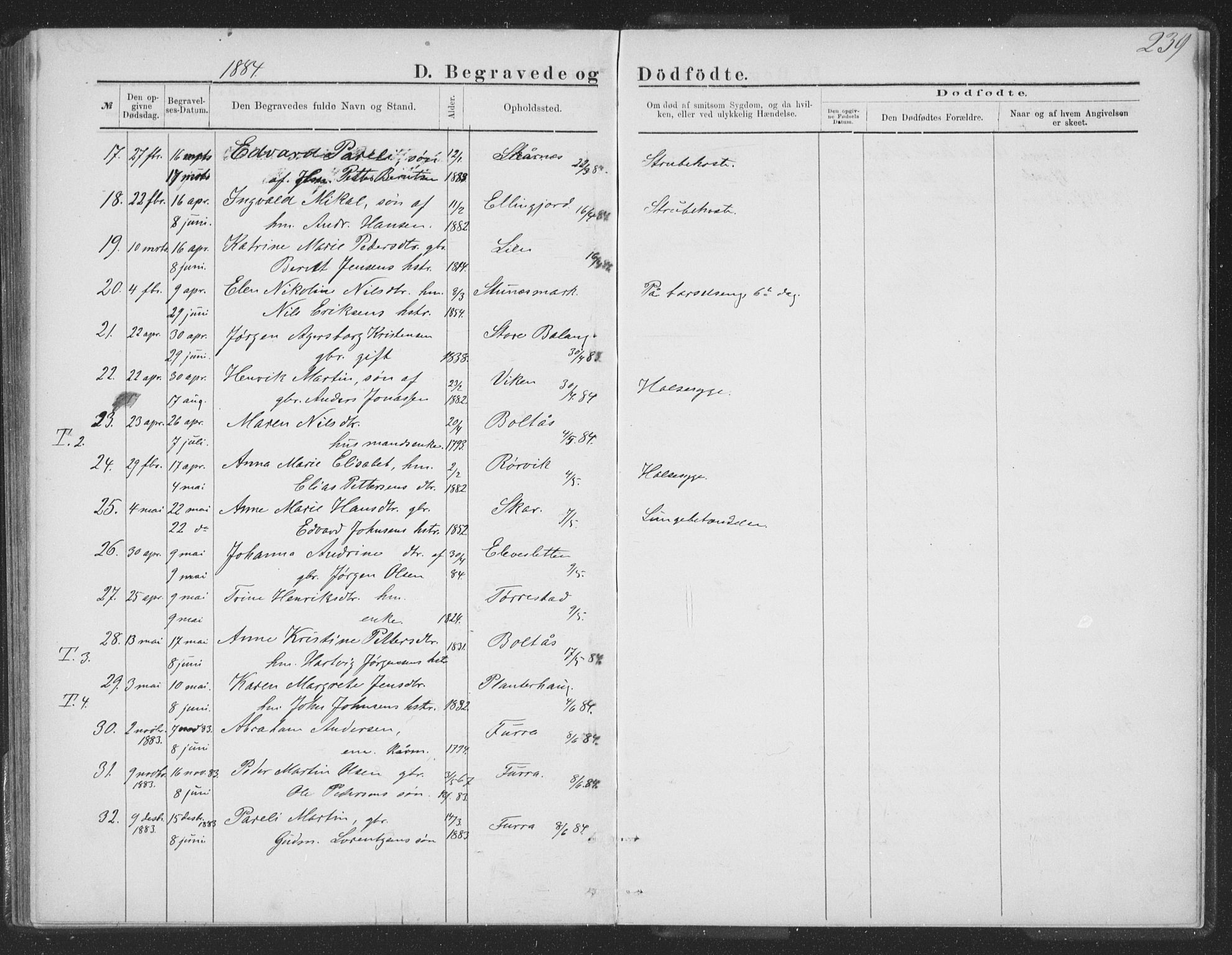 Ministerialprotokoller, klokkerbøker og fødselsregistre - Nordland, AV/SAT-A-1459/863/L0913: Klokkerbok nr. 863C03, 1877-1885, s. 239