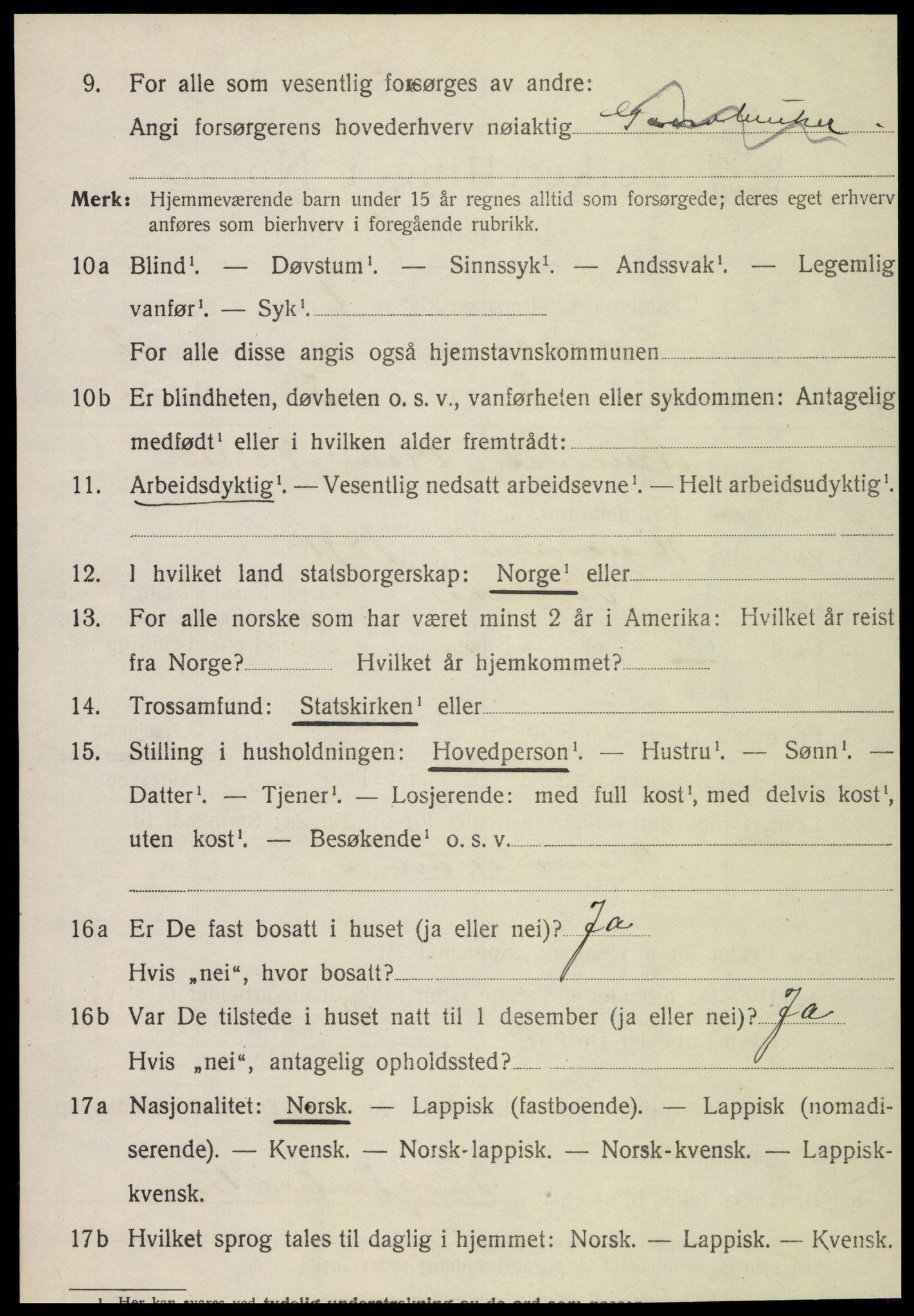 SAT, Folketelling 1920 for 1736 Snåsa herred, 1920, s. 1229