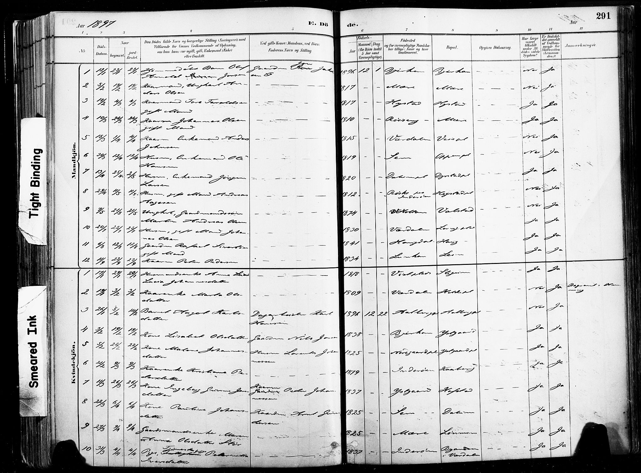 Ministerialprotokoller, klokkerbøker og fødselsregistre - Nord-Trøndelag, SAT/A-1458/735/L0351: Ministerialbok nr. 735A10, 1884-1908, s. 291