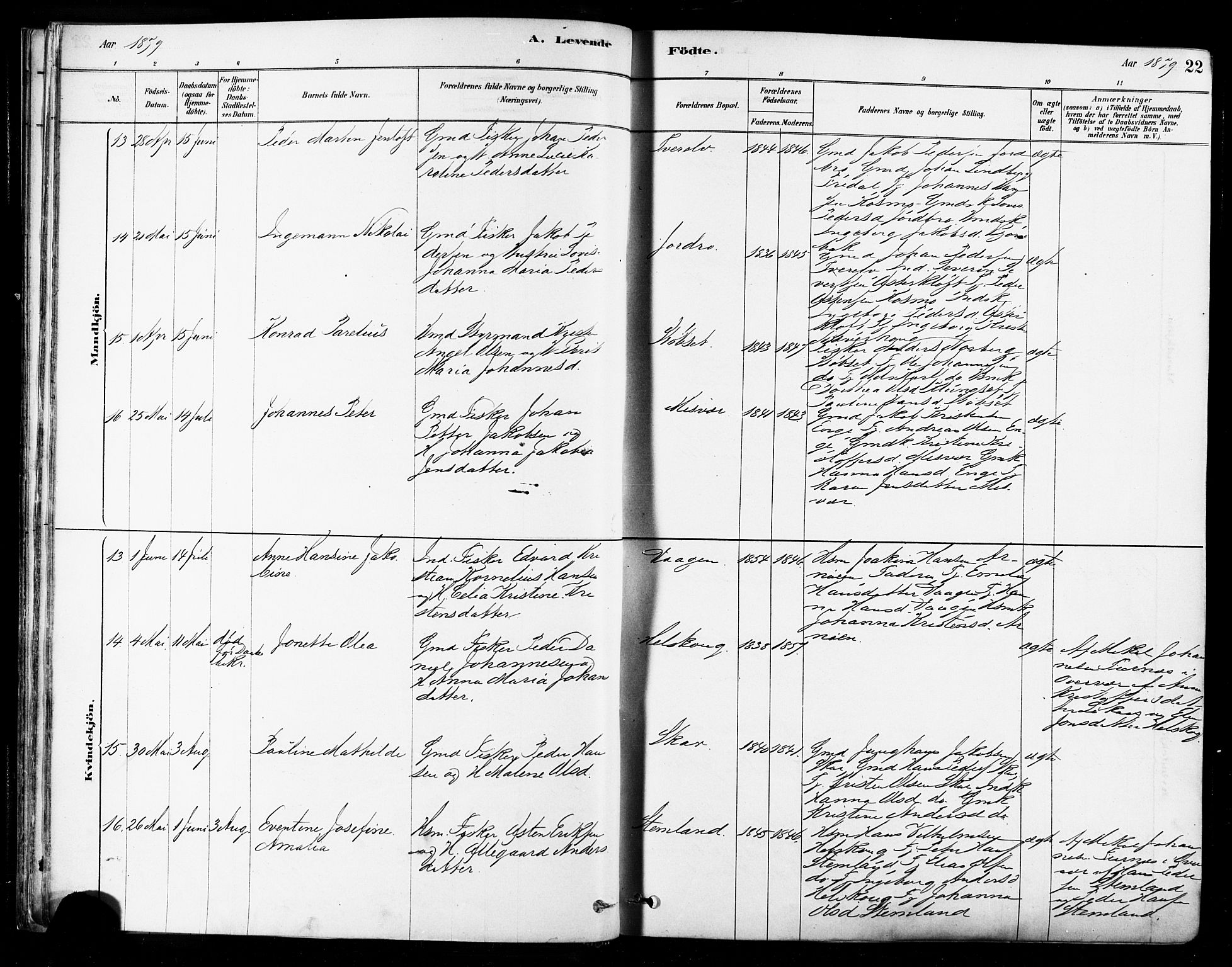 Ministerialprotokoller, klokkerbøker og fødselsregistre - Nordland, AV/SAT-A-1459/852/L0740: Ministerialbok nr. 852A10, 1878-1894, s. 22