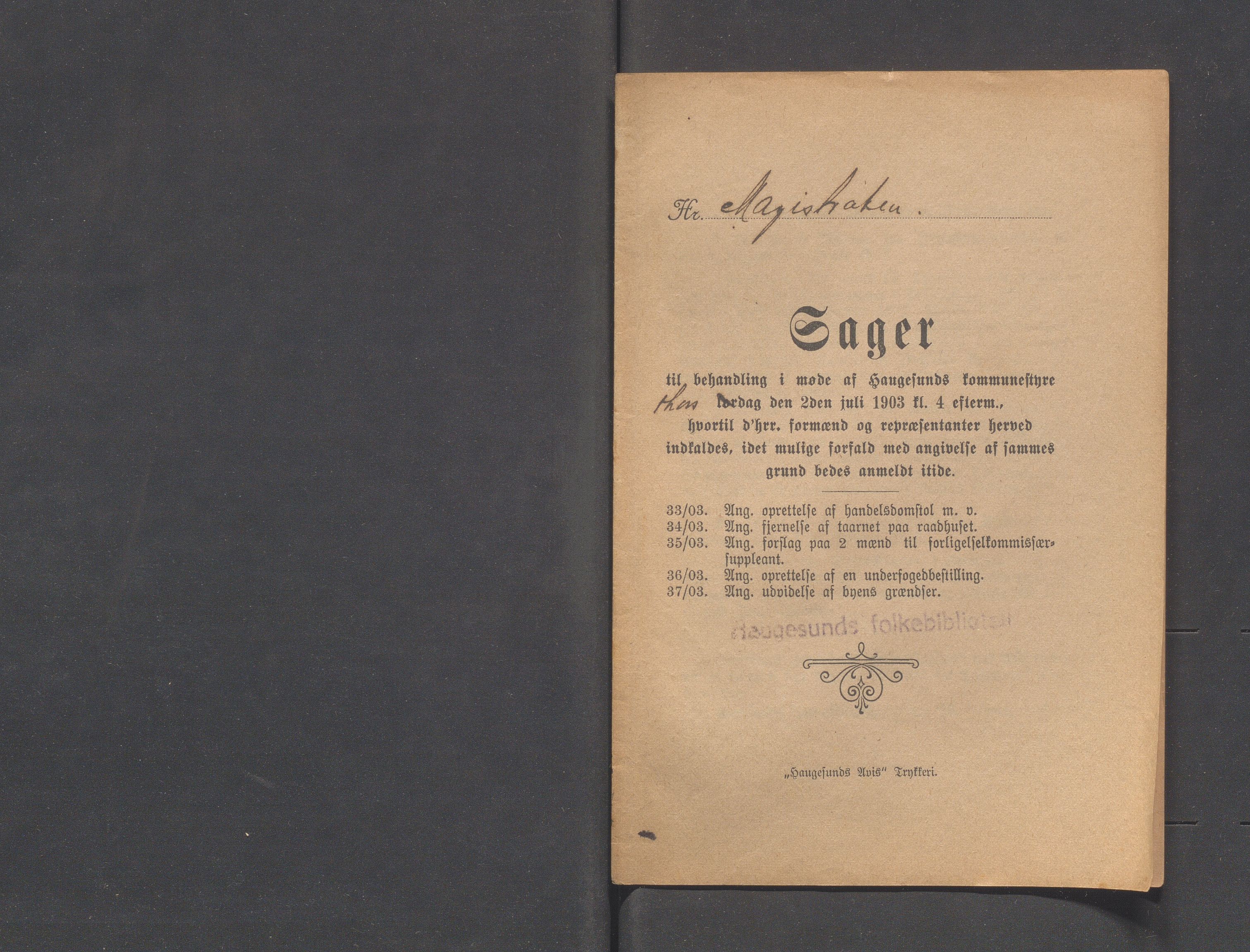 Haugesund kommune - Formannskapet og Bystyret, IKAR/A-740/A/Abb/L0001: Bystyreforhandlinger, 1889-1907, s. 401