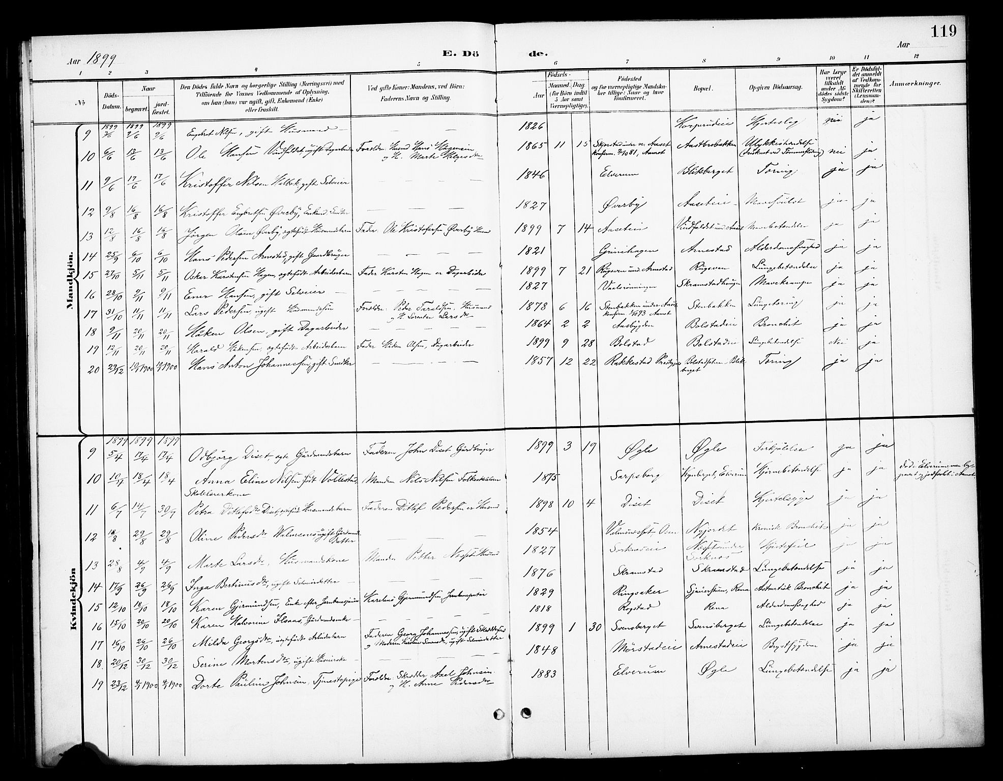 Åmot prestekontor, Hedmark, AV/SAH-PREST-056/H/Ha/Haa/L0013: Ministerialbok nr. 13, 1898-1906, s. 119