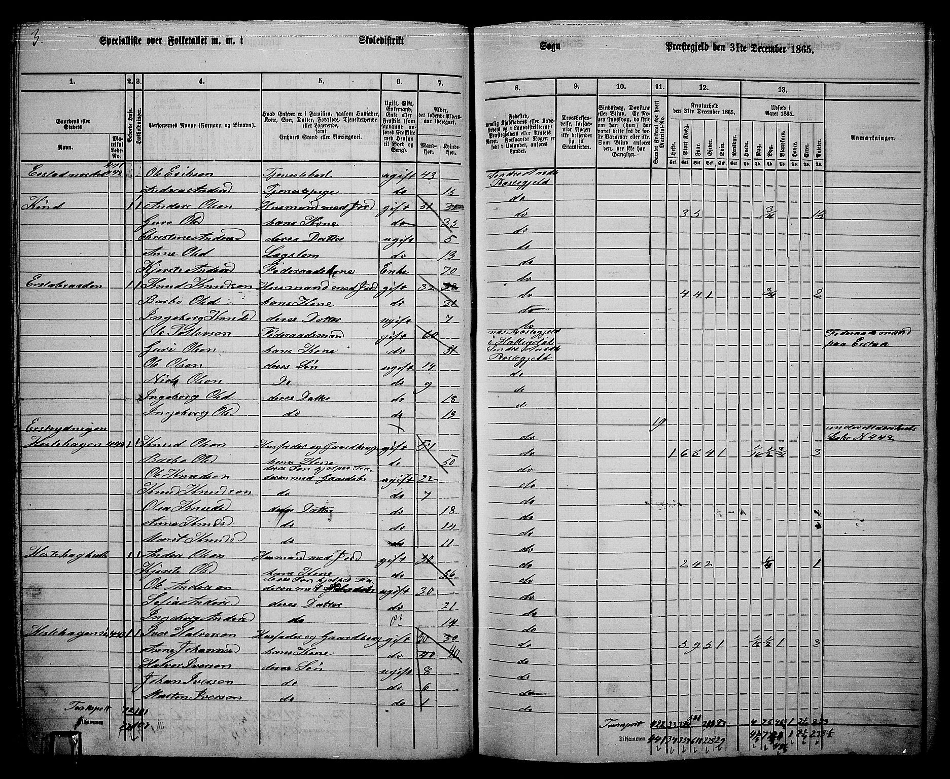 RA, Folketelling 1865 for 0540P Sør-Aurdal prestegjeld, 1865, s. 64