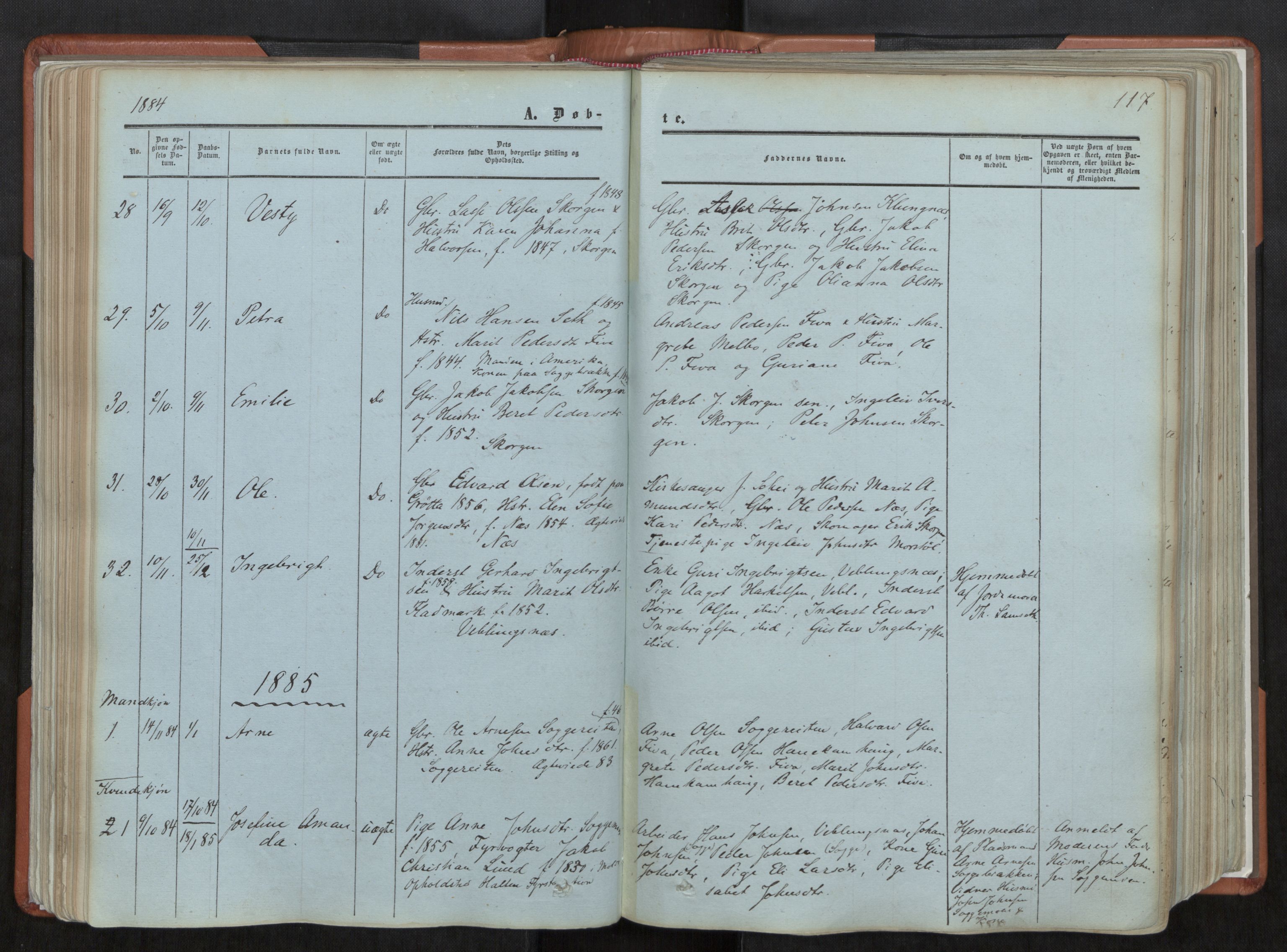 Ministerialprotokoller, klokkerbøker og fødselsregistre - Møre og Romsdal, SAT/A-1454/544/L0572: Ministerialbok nr. 544A05, 1854-1886, s. 117