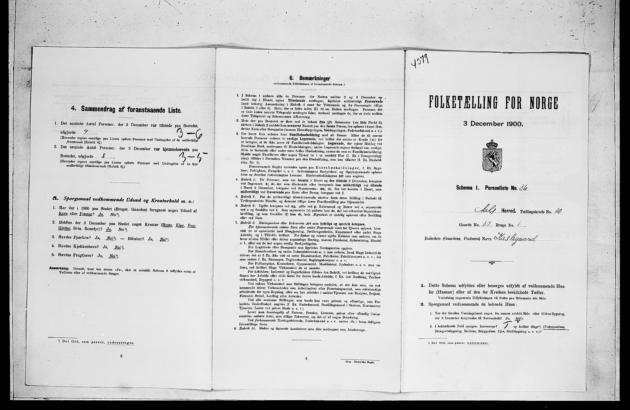RA, Folketelling 1900 for 0619 Ål herred, 1900, s. 869