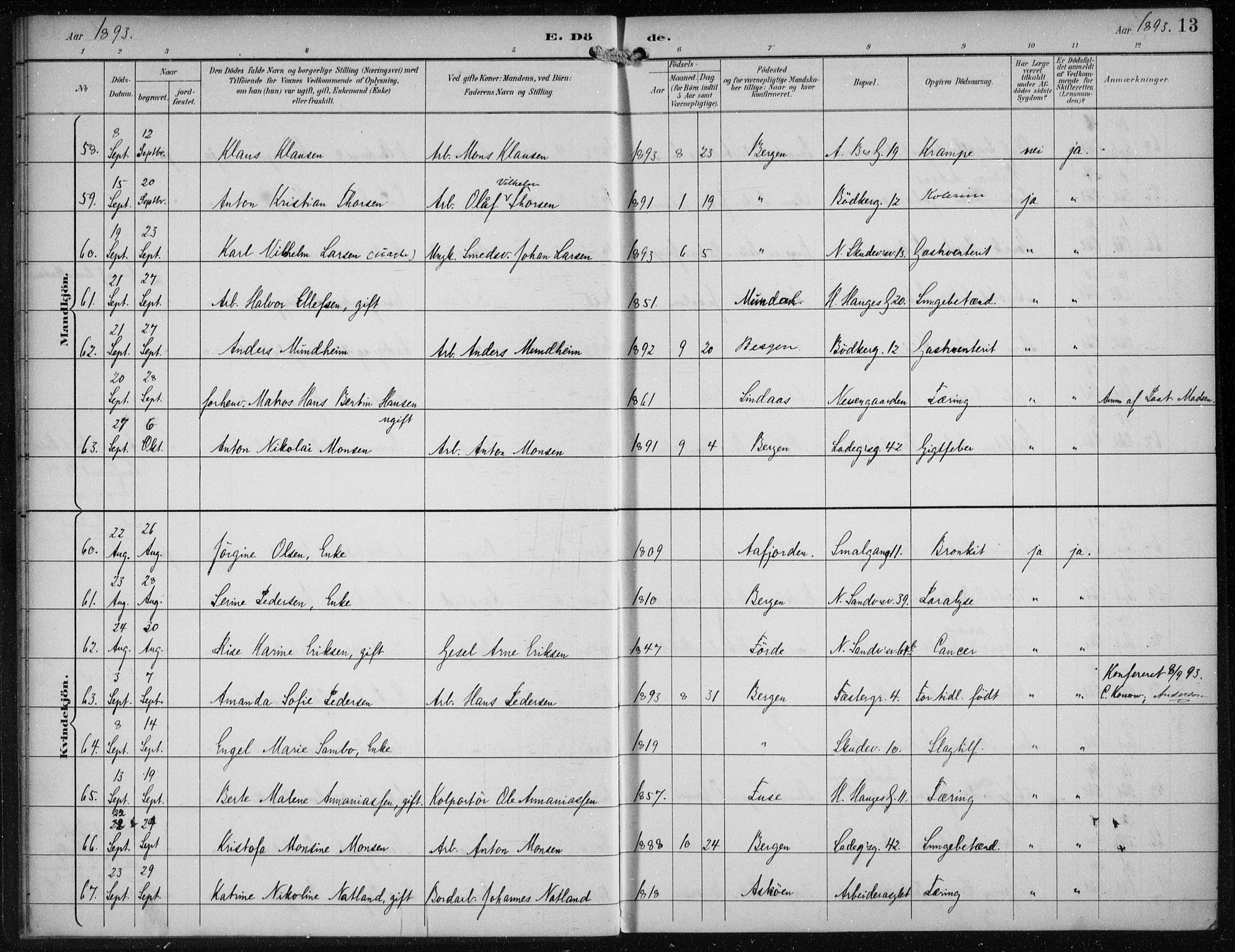 Sandviken Sokneprestembete, AV/SAB-A-77601/H/Ha/L0018: Ministerialbok nr. E 1, 1893-1905, s. 13