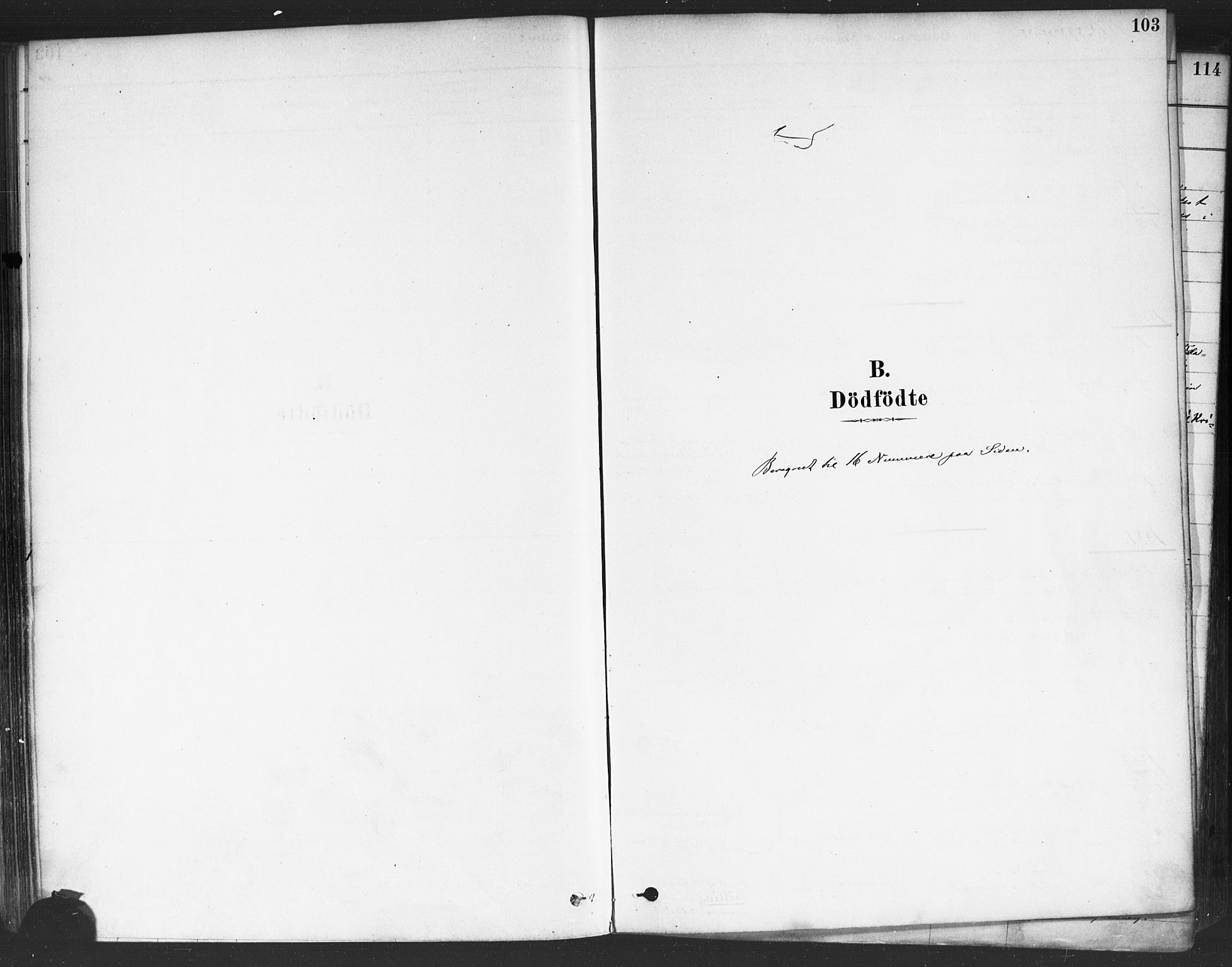 Rakkestad prestekontor Kirkebøker, SAO/A-2008/F/Fa/L0012: Ministerialbok nr. I 12, 1878-1893, s. 103