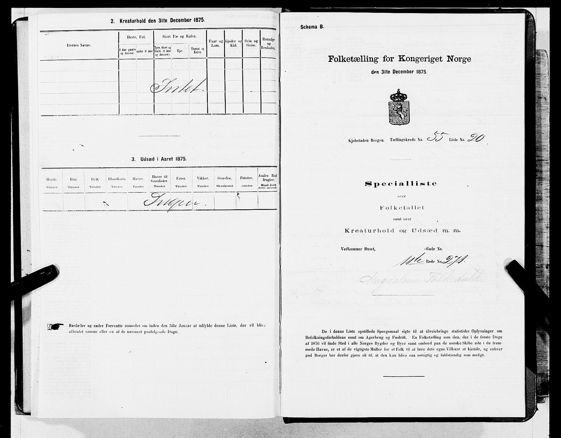 SAB, Folketelling 1875 for 1301 Bergen kjøpstad, 1875, s. 2941