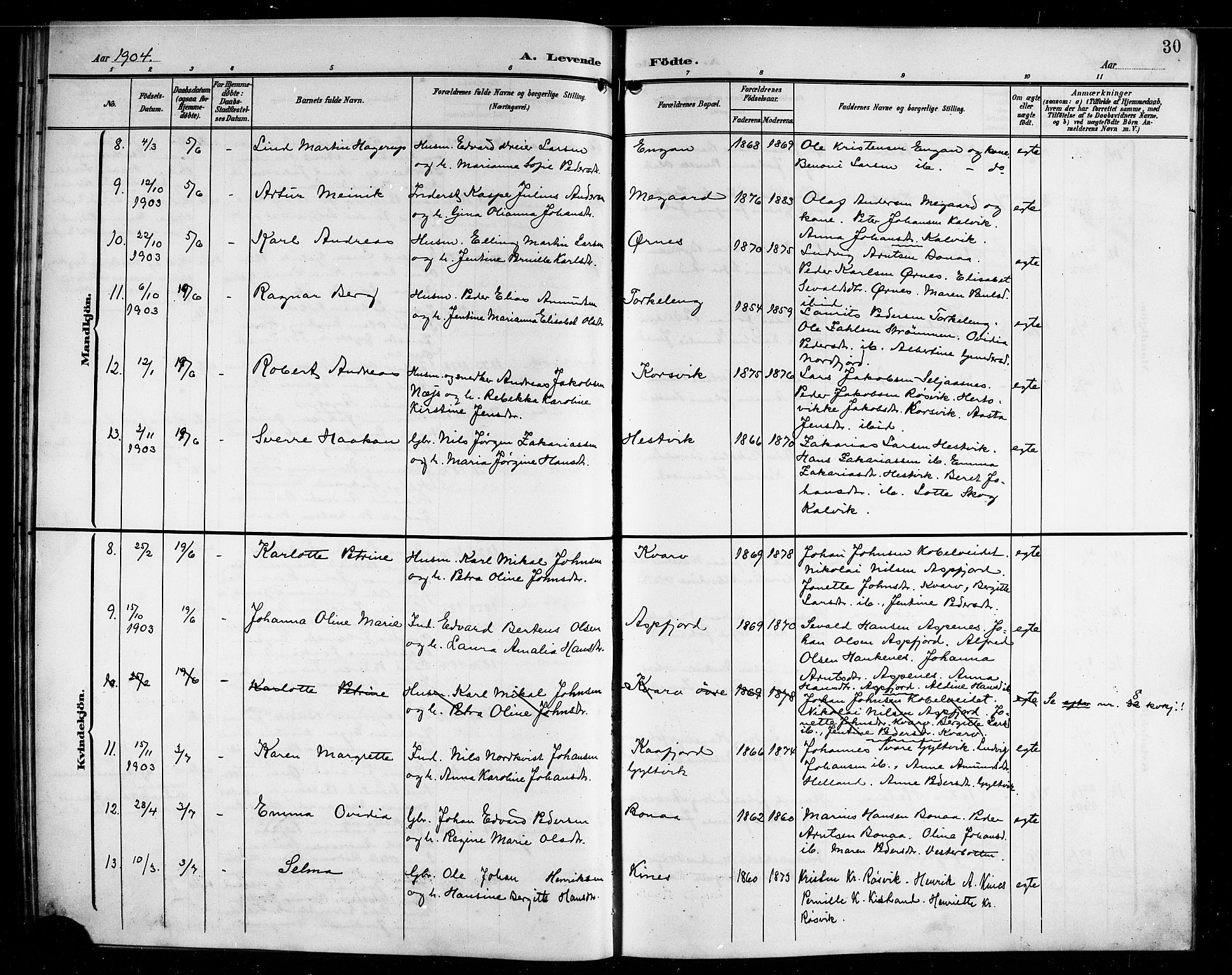 Ministerialprotokoller, klokkerbøker og fødselsregistre - Nordland, AV/SAT-A-1459/854/L0786: Klokkerbok nr. 854C02, 1901-1912, s. 30