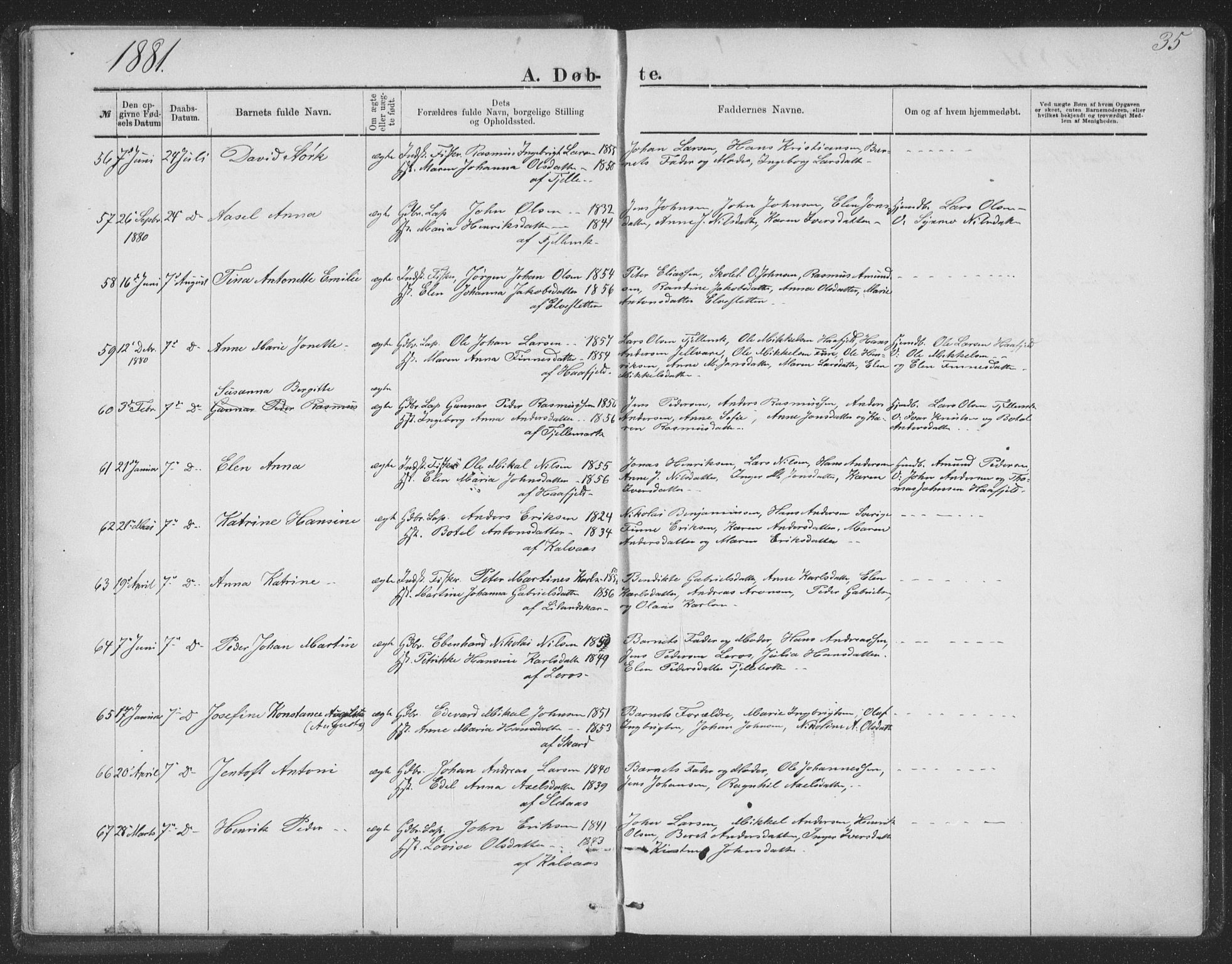 Ministerialprotokoller, klokkerbøker og fødselsregistre - Nordland, AV/SAT-A-1459/863/L0913: Klokkerbok nr. 863C03, 1877-1885, s. 35