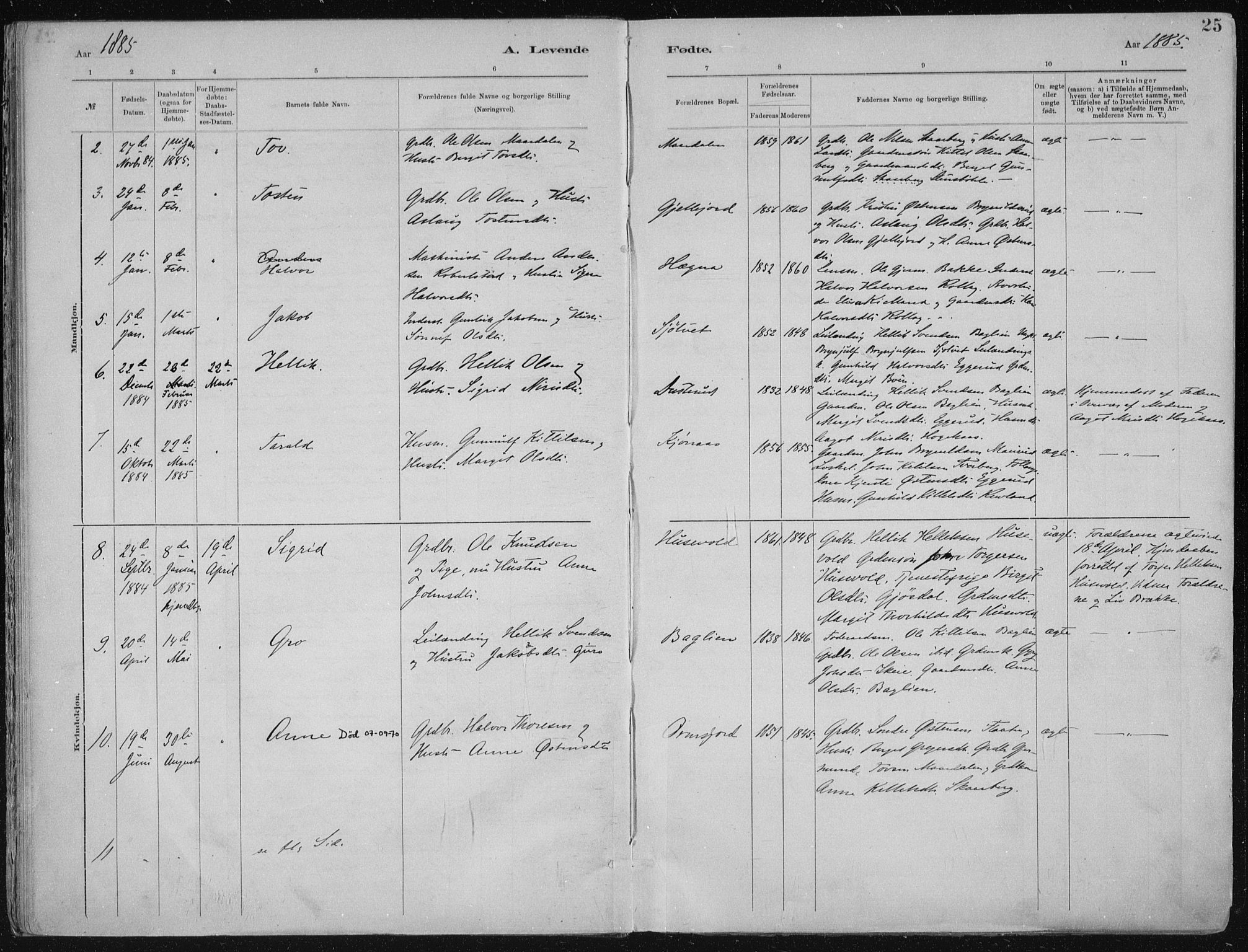Tinn kirkebøker, AV/SAKO-A-308/F/Fa/L0007: Ministerialbok nr. I 7, 1878-1922, s. 25