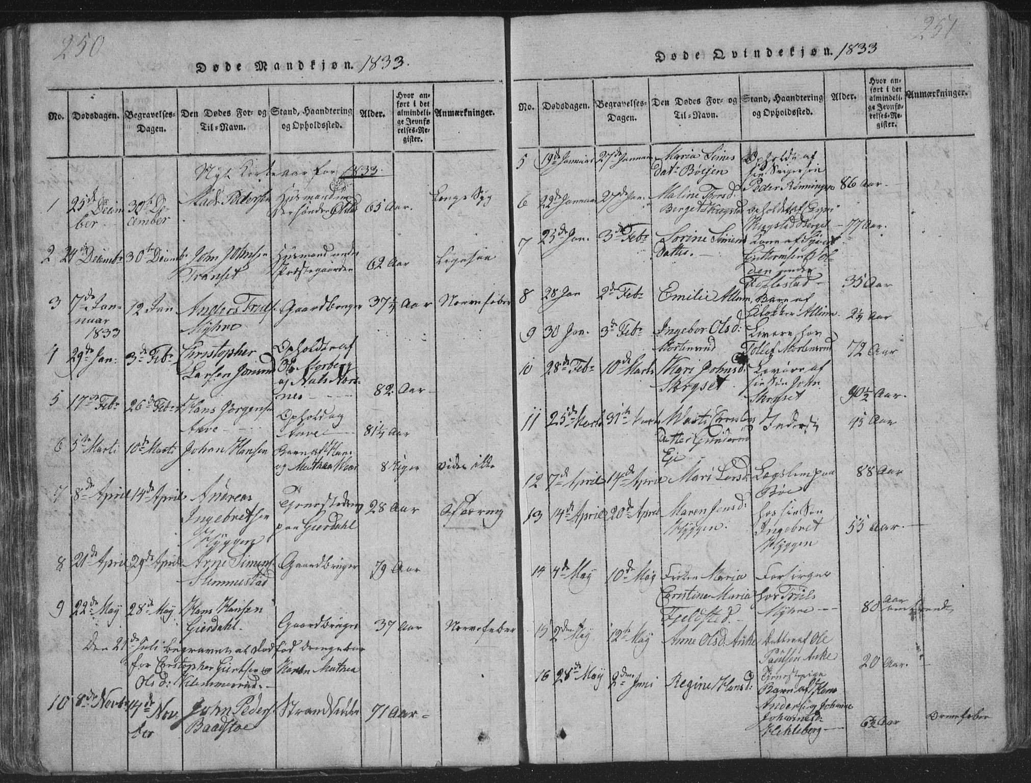 Røyken kirkebøker, AV/SAKO-A-241/G/Ga/L0003: Klokkerbok nr. 3, 1814-1856, s. 250-251