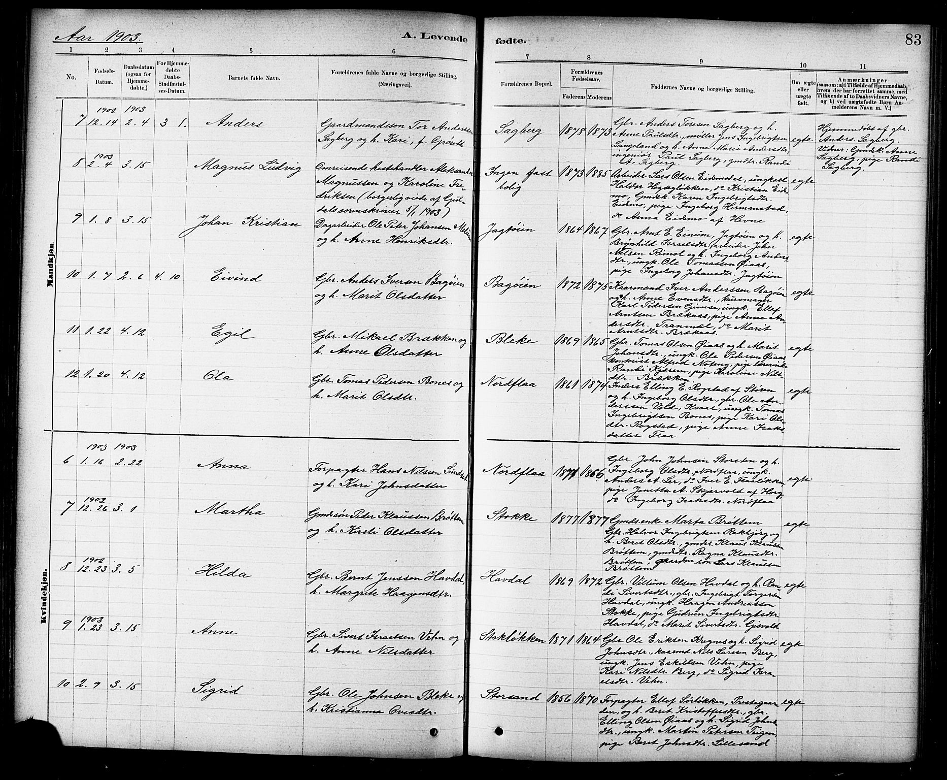 Ministerialprotokoller, klokkerbøker og fødselsregistre - Sør-Trøndelag, SAT/A-1456/691/L1094: Klokkerbok nr. 691C05, 1879-1911, s. 83