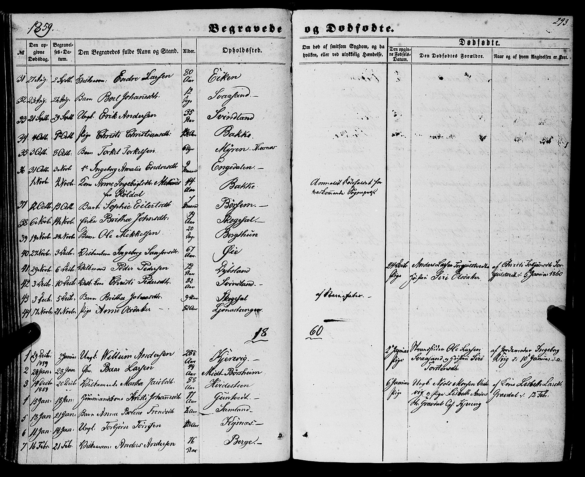 Strandebarm sokneprestembete, SAB/A-78401/H/Haa: Ministerialbok nr. A 8, 1858-1872, s. 293