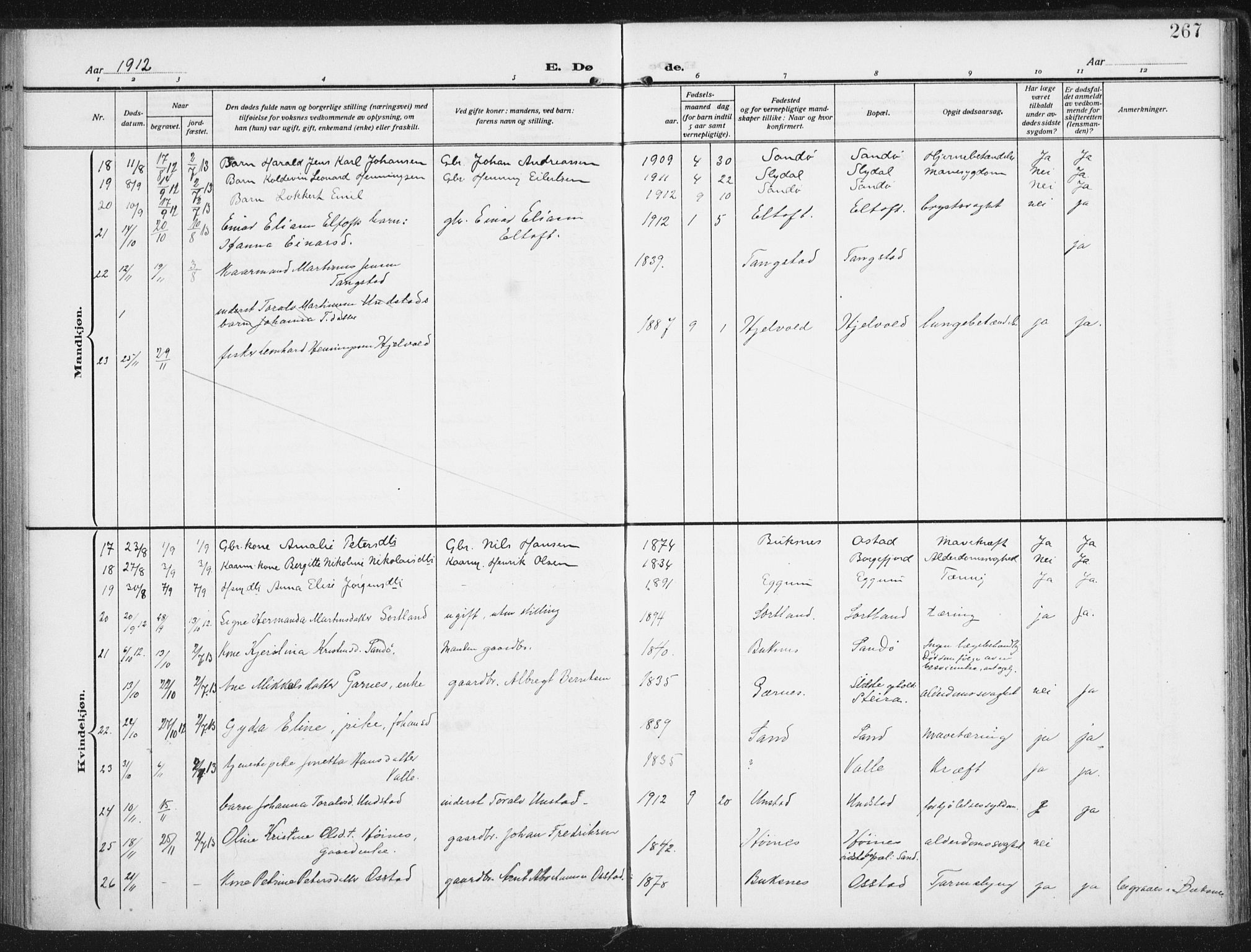 Ministerialprotokoller, klokkerbøker og fødselsregistre - Nordland, AV/SAT-A-1459/880/L1135: Ministerialbok nr. 880A09, 1908-1919, s. 267