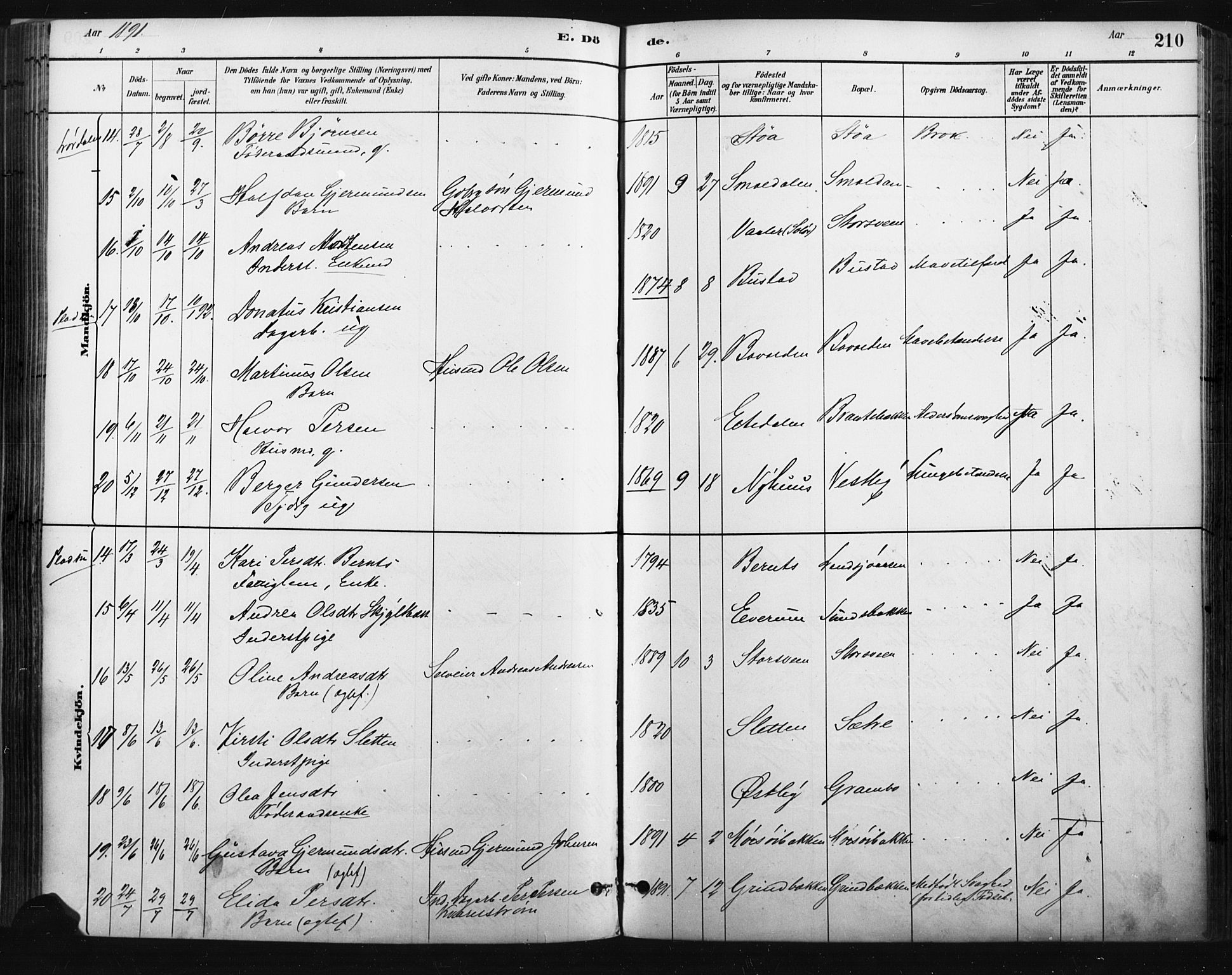 Trysil prestekontor, AV/SAH-PREST-046/H/Ha/Haa/L0009: Ministerialbok nr. 9, 1881-1897, s. 210