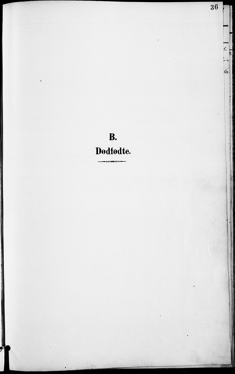 Tolga prestekontor, AV/SAH-PREST-062/L/L0011: Klokkerbok nr. 11, 1894-1925, s. 36