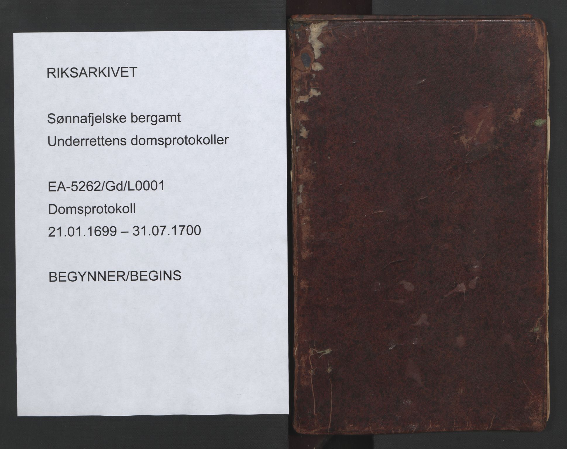 Sønnafjelske bergamt , SAKO/EA-5262/G/Gd/L0001: Domsprotokoll, 1699-1700
