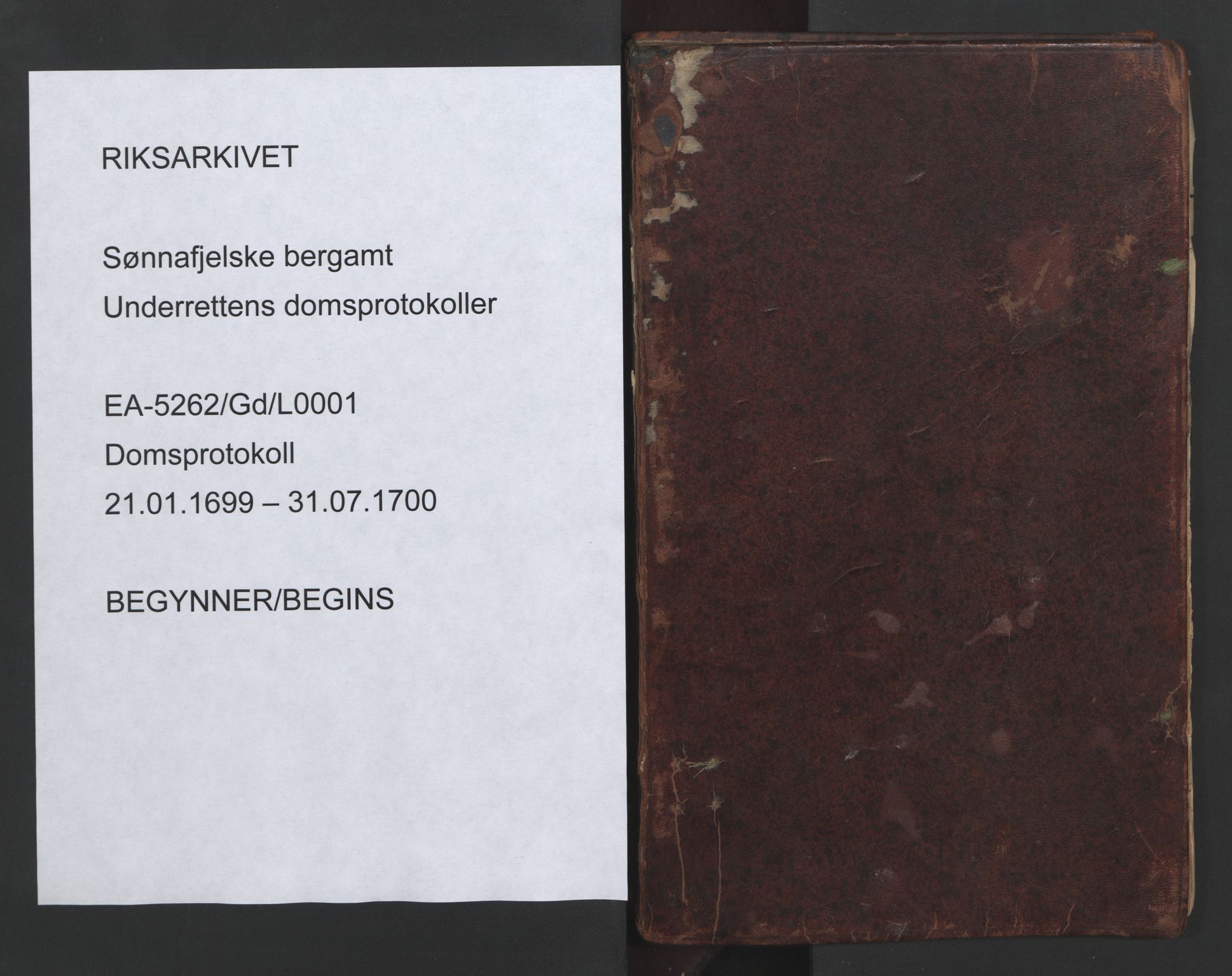 Sønnafjelske bergamt , AV/SAKO-EA-5262/G/Gd/L0001: Domsprotokoll, 1699-1700