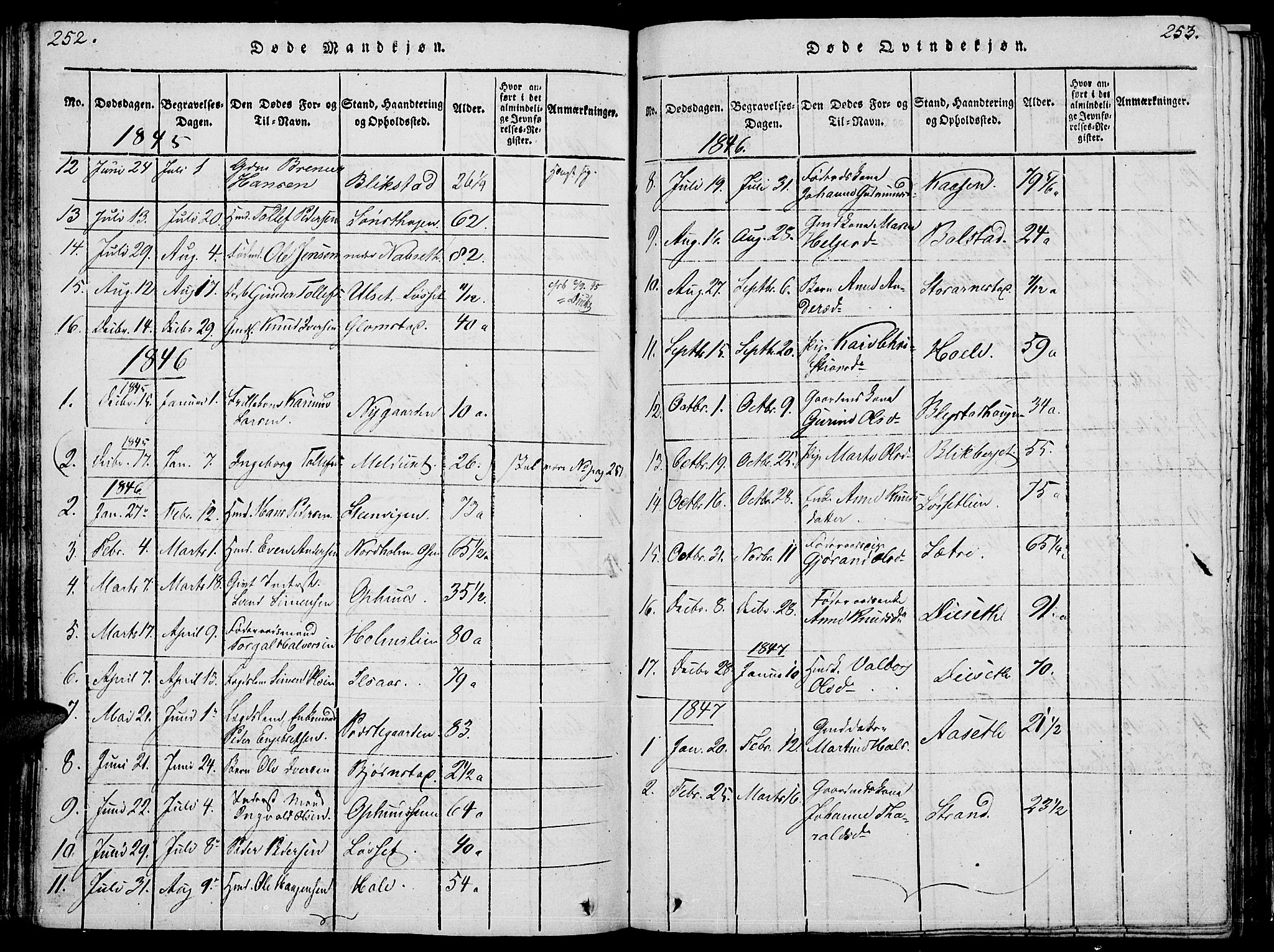 Åmot prestekontor, Hedmark, SAH/PREST-056/H/Ha/Hab/L0001: Klokkerbok nr. 1, 1815-1847, s. 252-253