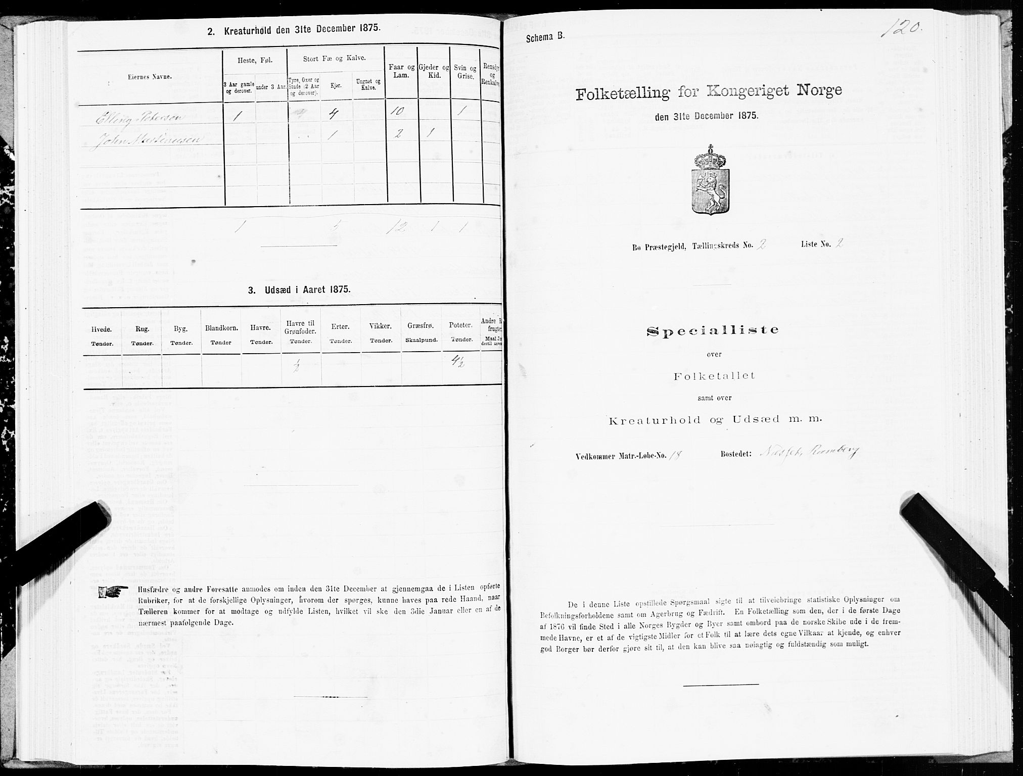 SAT, Folketelling 1875 for 1867P Bø prestegjeld, 1875, s. 1120