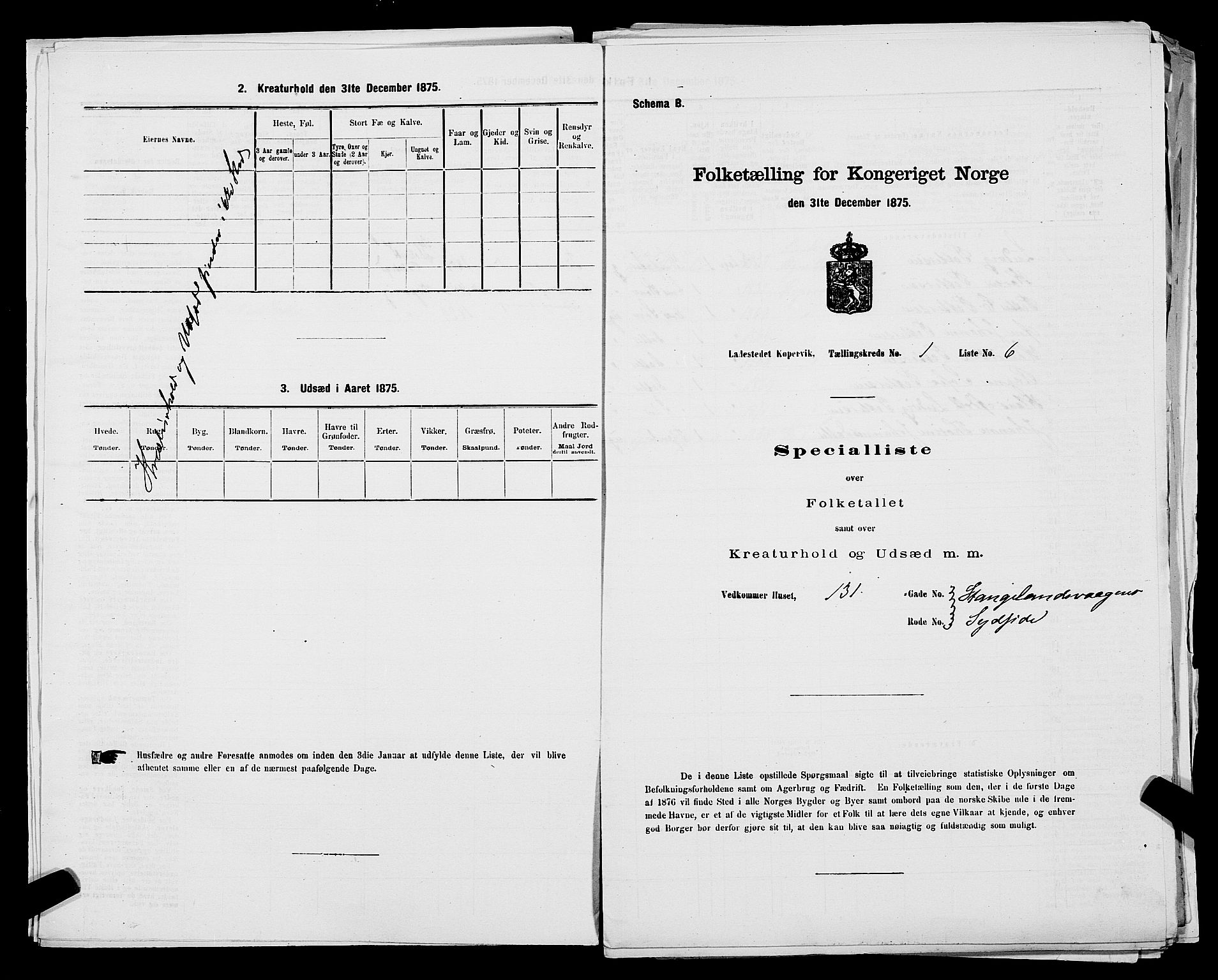 SAST, Folketelling 1875 for 1105B Avaldsnes prestegjeld, Kopervik ladested, 1875, s. 12