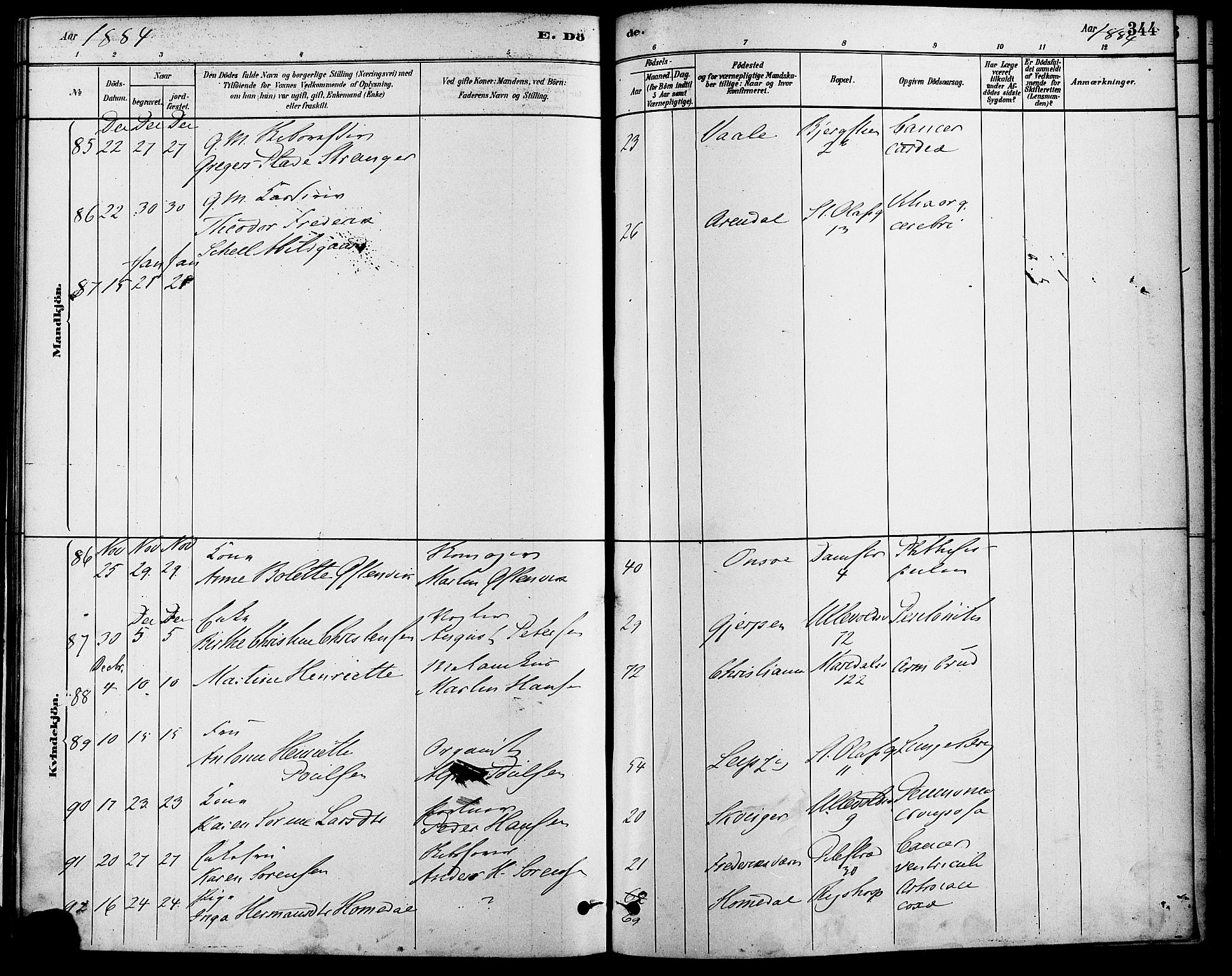 Gamle Aker prestekontor Kirkebøker, AV/SAO-A-10617a/F/L0006: Ministerialbok nr. 6, 1880-1887, s. 344