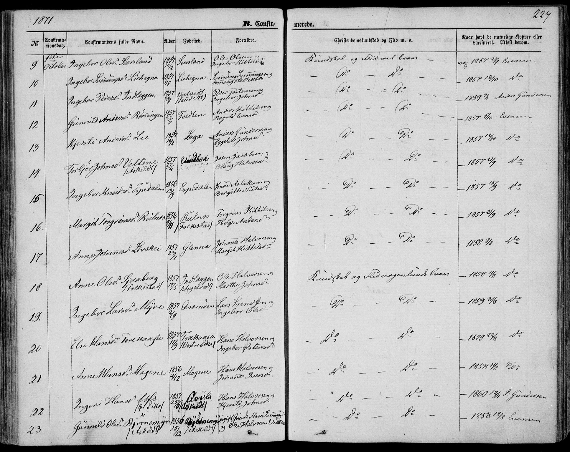Bø kirkebøker, AV/SAKO-A-257/F/Fa/L0009: Ministerialbok nr. 9, 1862-1879, s. 227