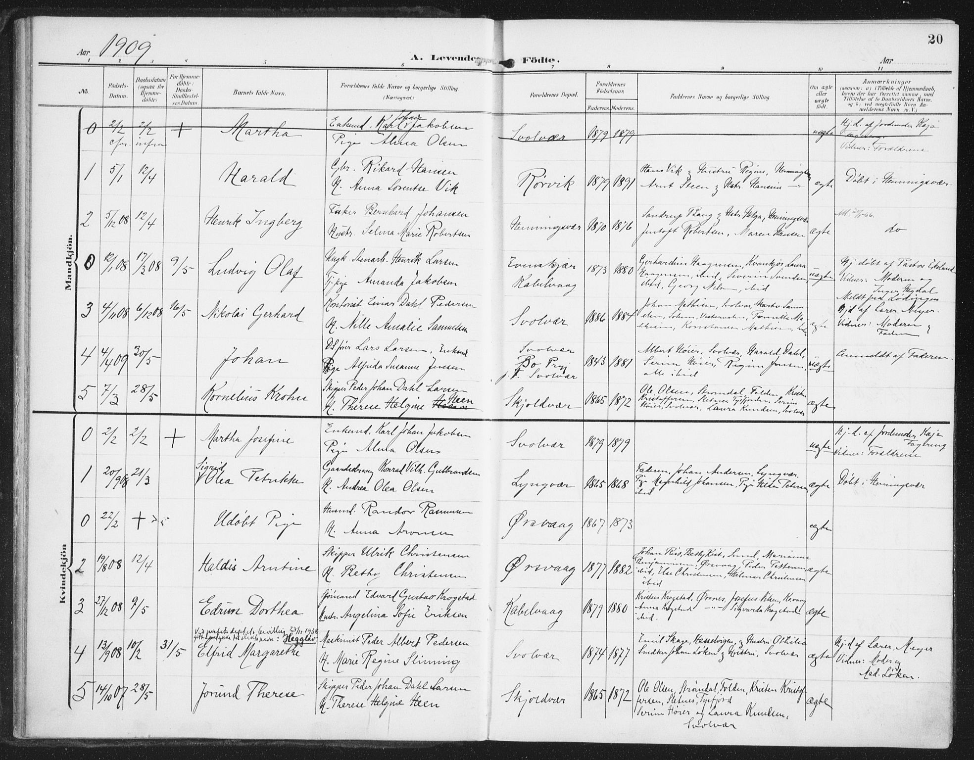 Ministerialprotokoller, klokkerbøker og fødselsregistre - Nordland, AV/SAT-A-1459/874/L1063: Ministerialbok nr. 874A07, 1907-1915, s. 20