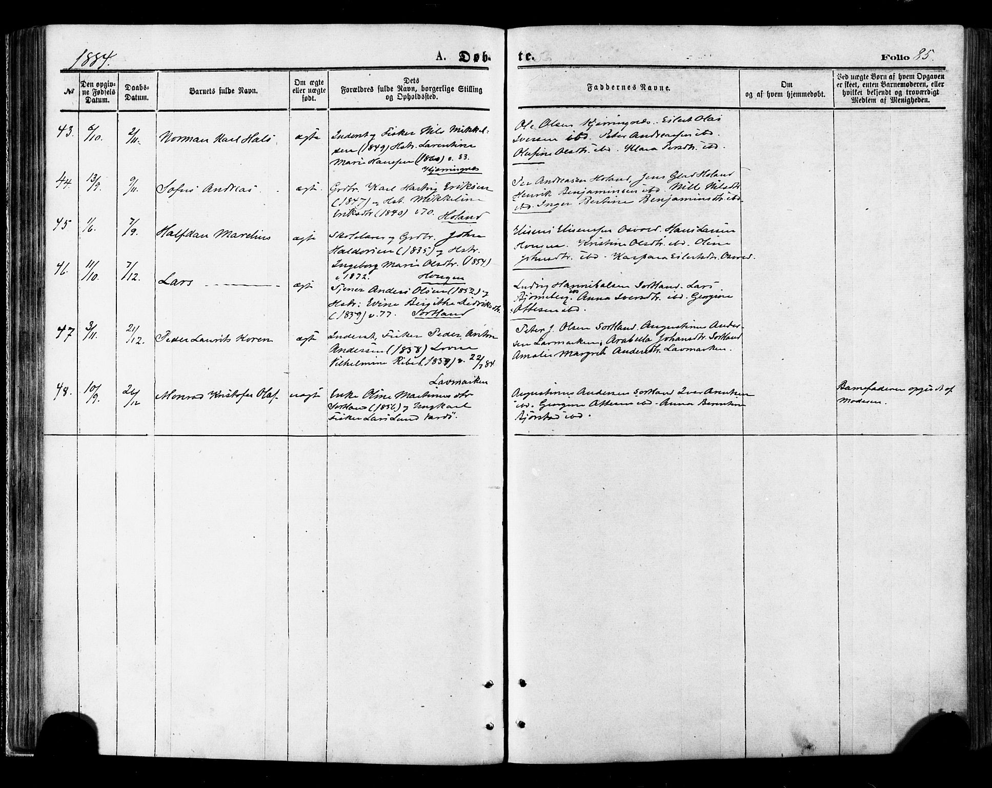 Ministerialprotokoller, klokkerbøker og fødselsregistre - Nordland, AV/SAT-A-1459/895/L1370: Ministerialbok nr. 895A05, 1873-1884, s. 85