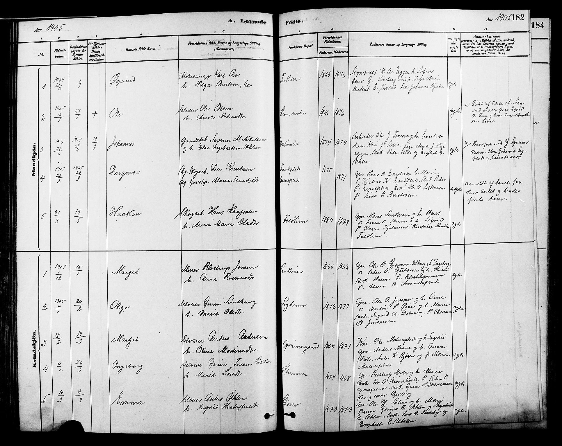 Alvdal prestekontor, AV/SAH-PREST-060/H/Ha/Hab/L0003: Klokkerbok nr. 3, 1878-1907, s. 182