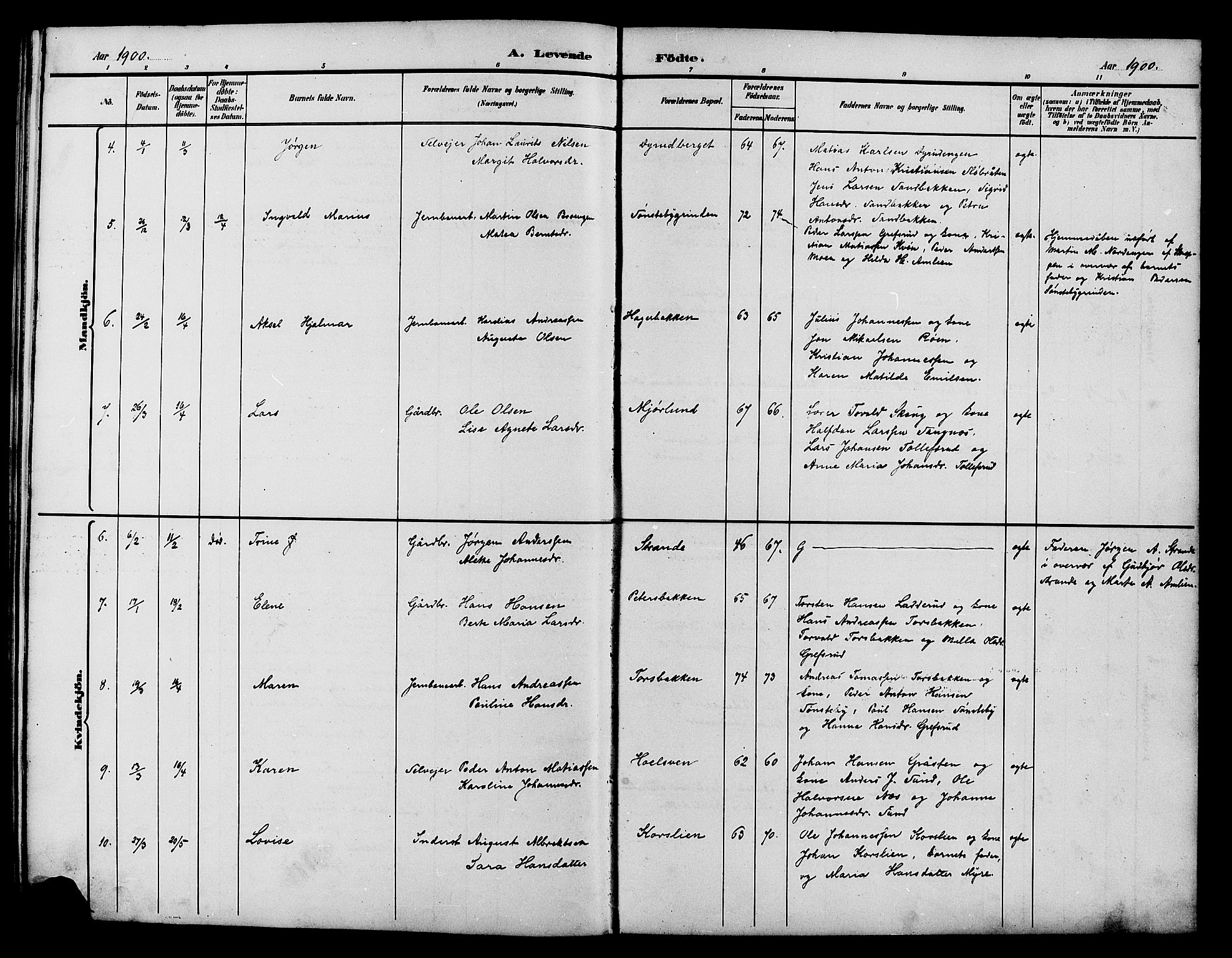 Vestre Toten prestekontor, AV/SAH-PREST-108/H/Ha/Hab/L0015: Klokkerbok nr. 15, 1890-1900