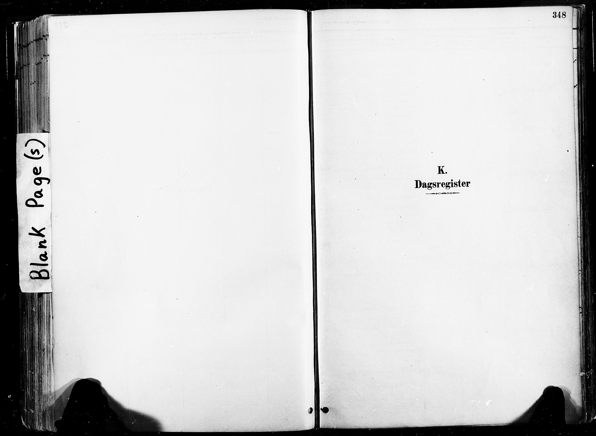 Ministerialprotokoller, klokkerbøker og fødselsregistre - Nord-Trøndelag, AV/SAT-A-1458/735/L0351: Ministerialbok nr. 735A10, 1884-1908, s. 348