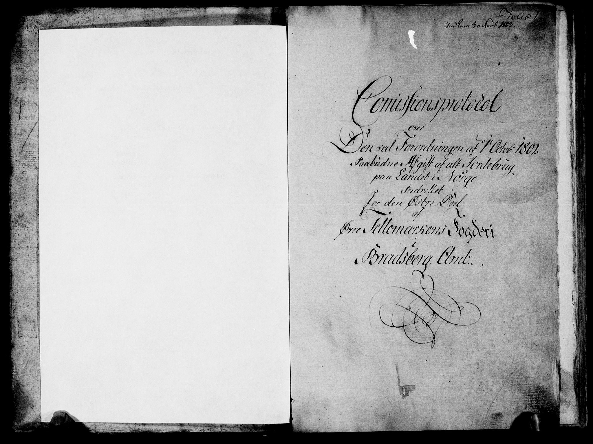 Rentekammeret inntil 1814, Realistisk ordnet avdeling, RA/EA-4070/N/Ne/Nea/L0074: Øvre Telemarken fogderi. Kommisjonsprotokoll for fogderiets østre del - Tinn, Hjartdal og Seljord prestegjeld., 1803, s. 2