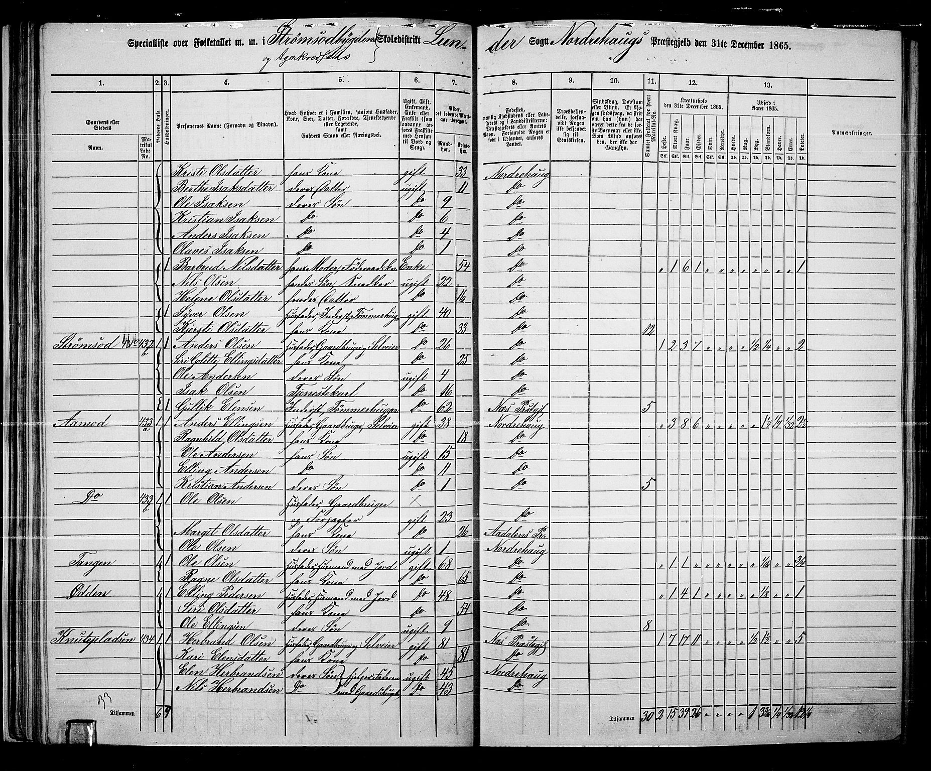 RA, Folketelling 1865 for 0613L Norderhov prestegjeld, Norderhov sokn, Haug sokn og Lunder sokn, 1865, s. 52