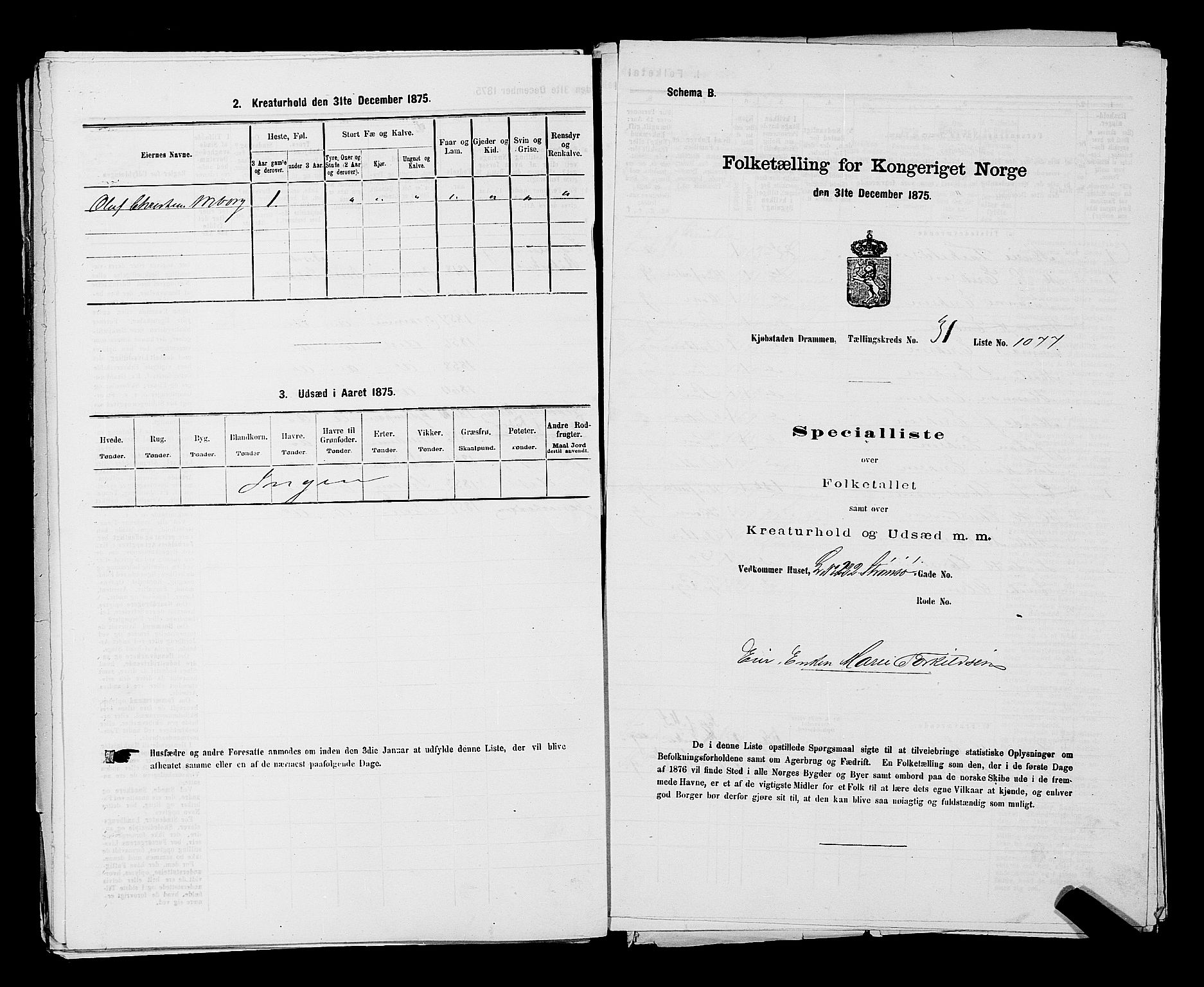 SAKO, Folketelling 1875 for 0602 Drammen kjøpstad, 1875, s. 2902