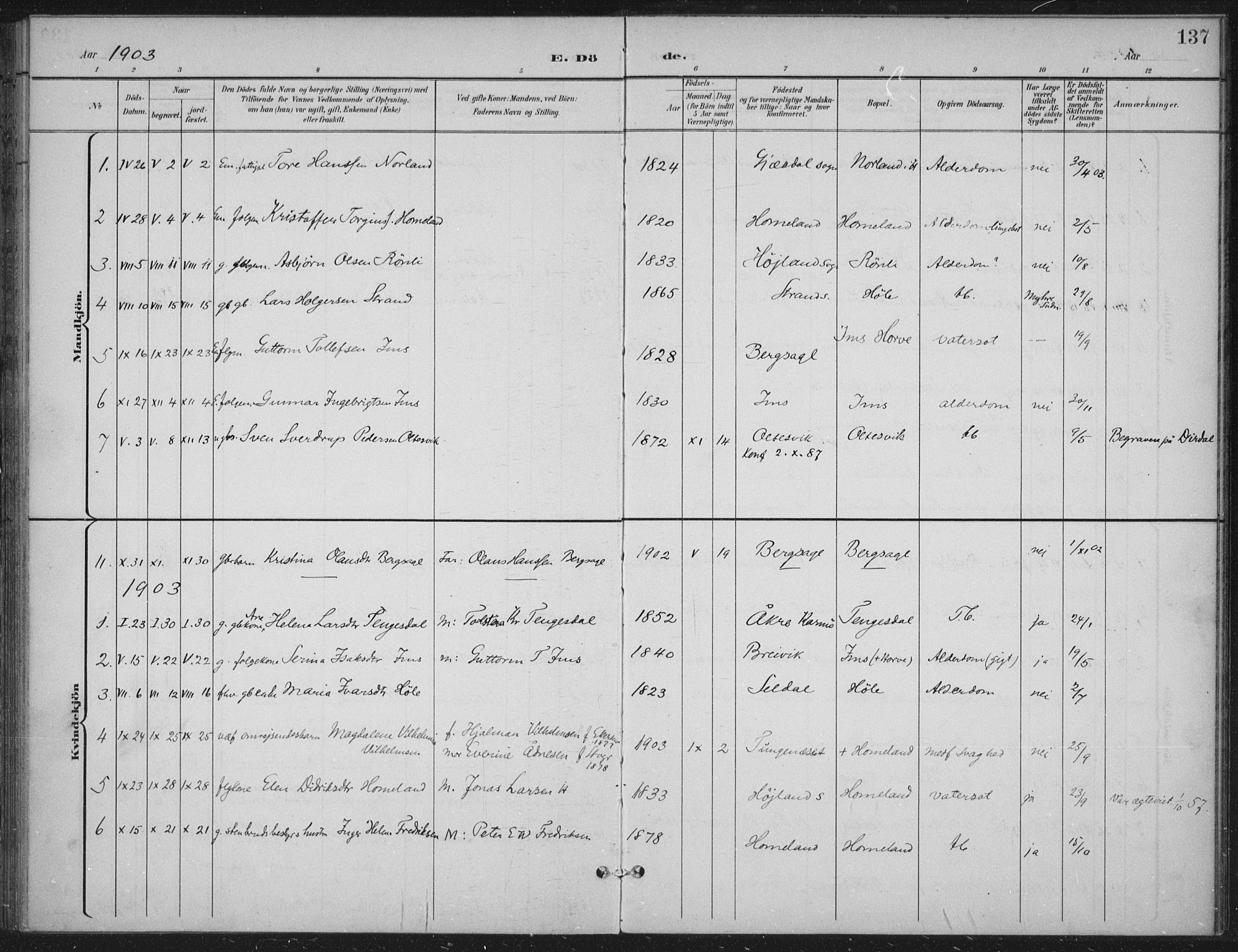 Høgsfjord sokneprestkontor, SAST/A-101624/H/Ha/Haa/L0008: Ministerialbok nr. A 8, 1898-1920, s. 137