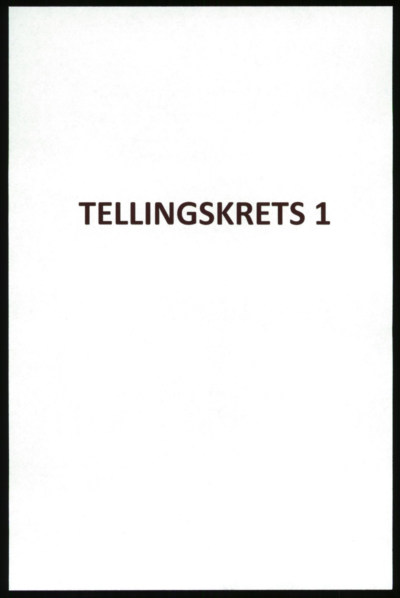 SAB, Folketelling 1920 for 1419 Leikanger herred, 1920, s. 945