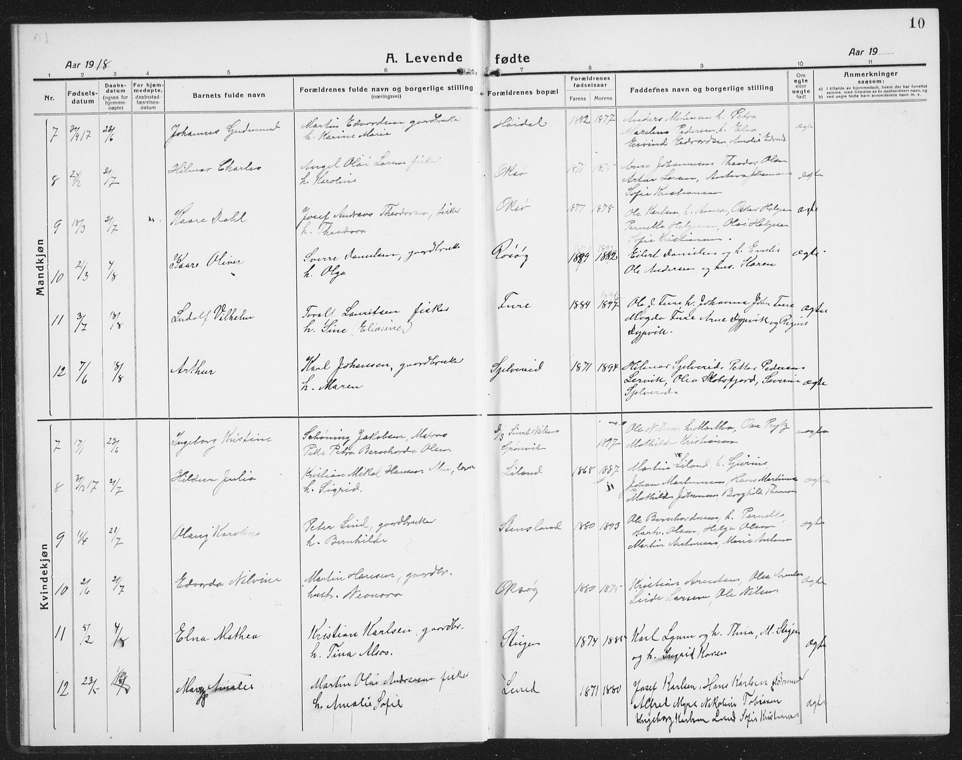 Ministerialprotokoller, klokkerbøker og fødselsregistre - Nordland, AV/SAT-A-1459/855/L0817: Klokkerbok nr. 855C06, 1917-1934, s. 10