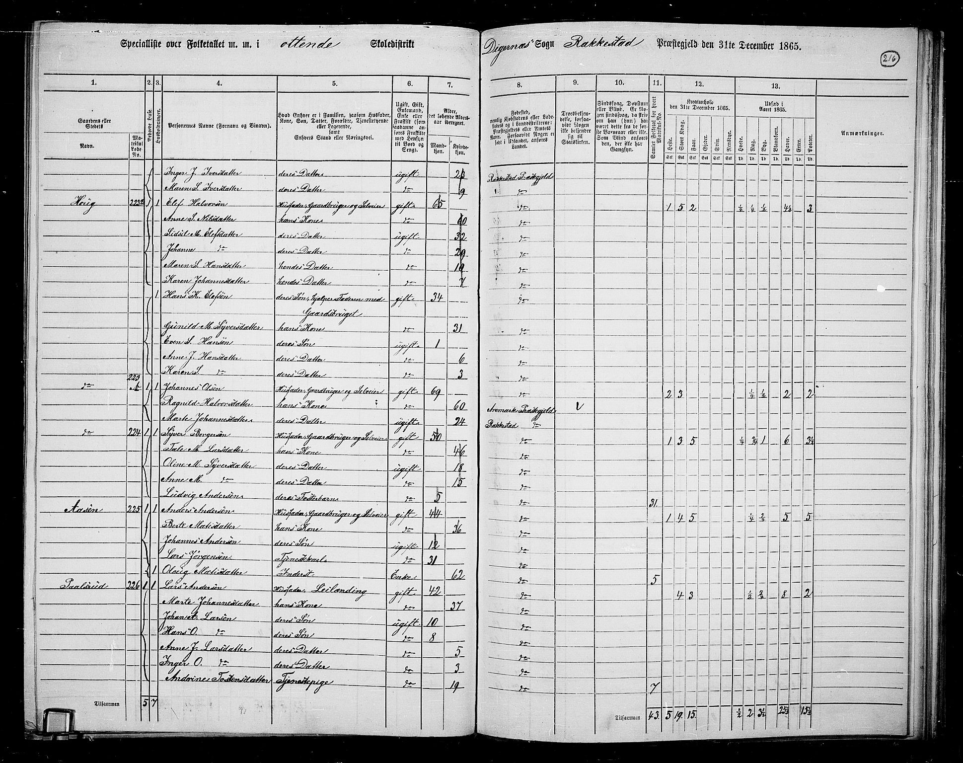 RA, Folketelling 1865 for 0128P Rakkestad prestegjeld, 1865, s. 207