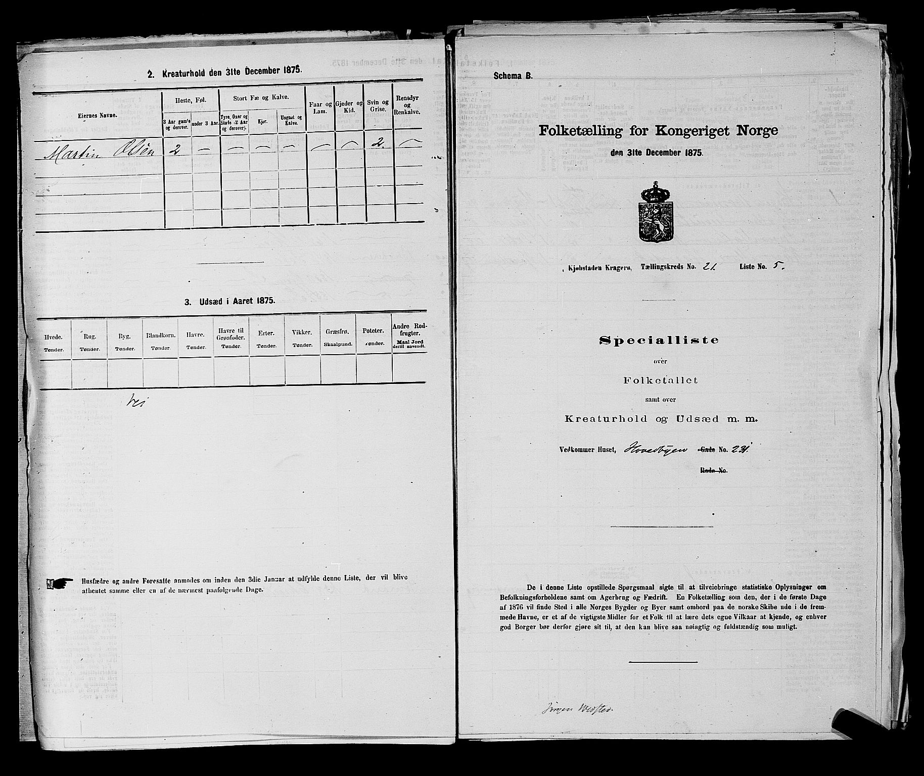 SAKO, Folketelling 1875 for 0801P Kragerø prestegjeld, 1875, s. 455